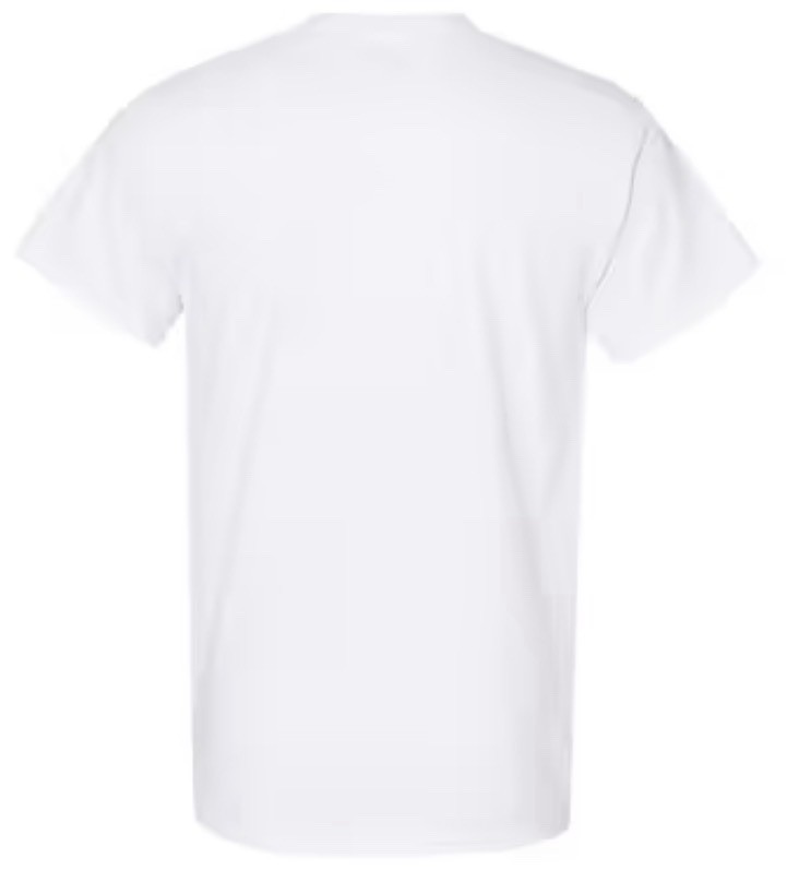 Gildan 5000 (2 Pack) Heavy Cotton Adult T Shirts White Size XL Tee Shirt NEW