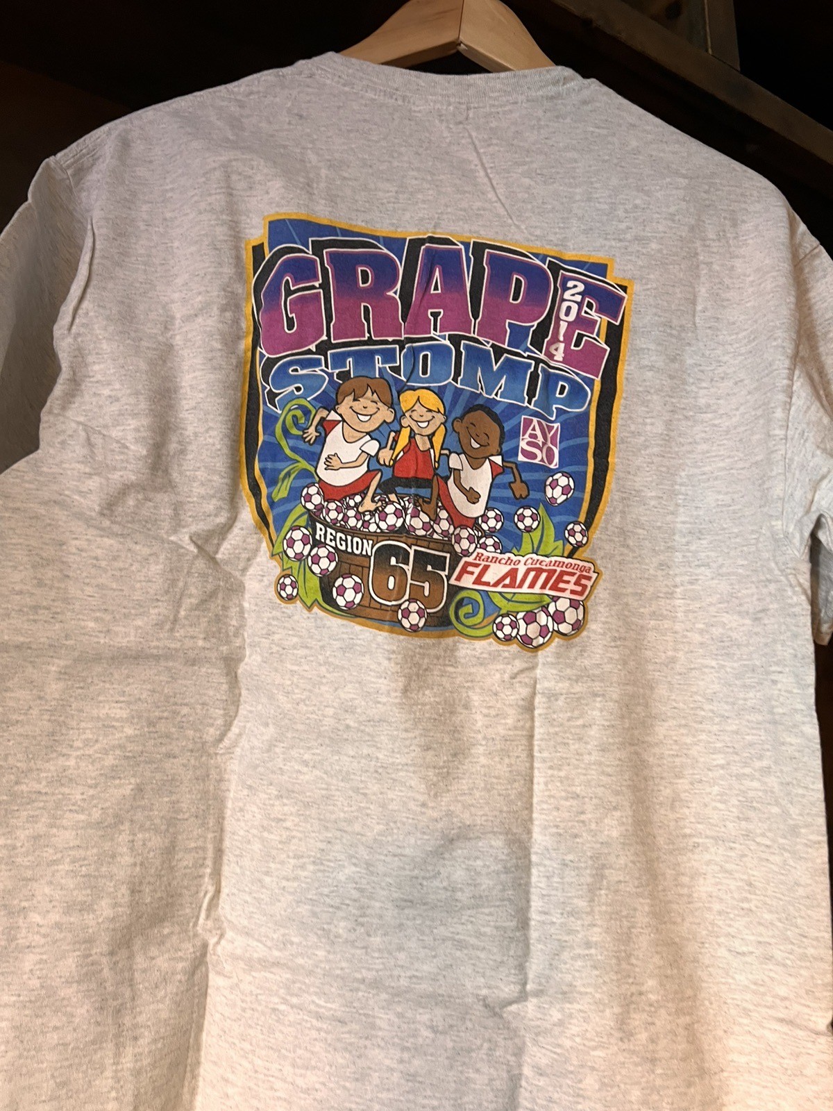 Rancho Cucamonga California CA Calif L T-Shirt 2014 GRAY GRAPE STOMP SHORT SLV