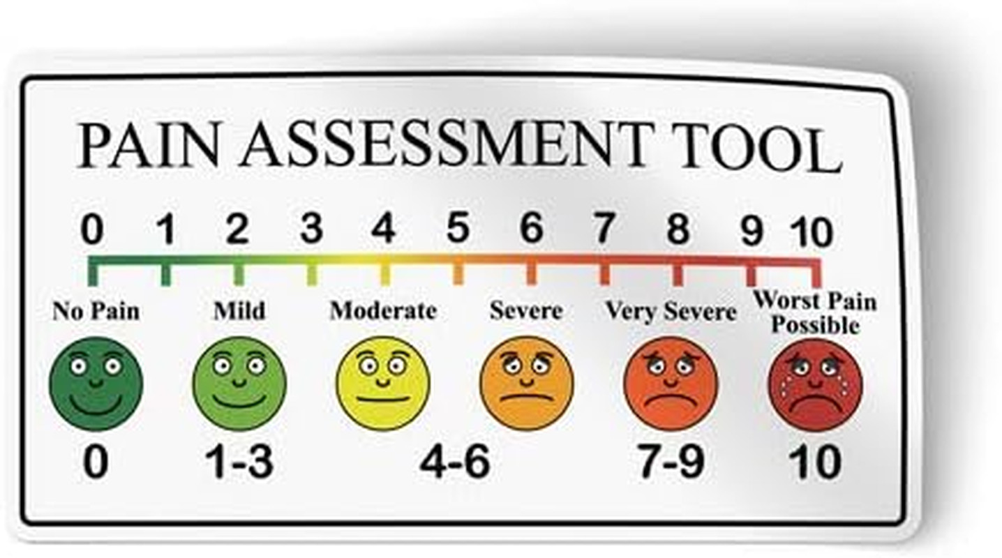 Pain Assessment Tool Scale Reference Vinyl Sticker 8&Prime; X 4&Prime;