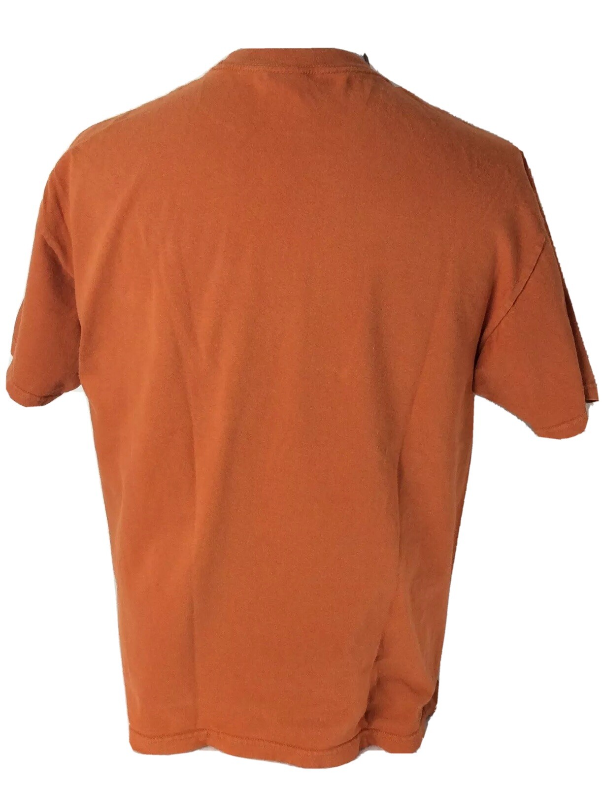 VGT M&Q Knits T-Shirt Men Size Large Burnt Orange Vegetable Are What Food Grapic