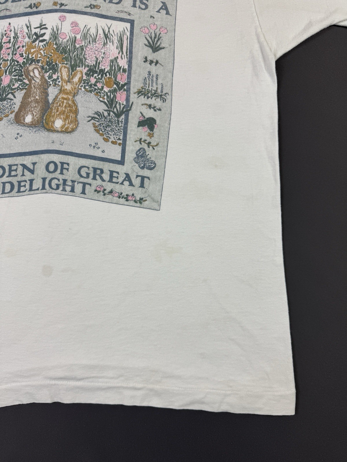 Rare Vintage 90s An Old Friend Is A Garden Of Great Delight Art Painting White T