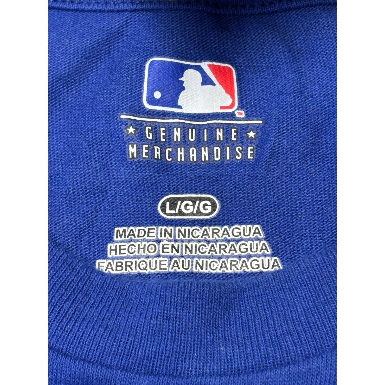 NWT MLB Chicago Cubs Mesa Spring Training Arizona T-Shirt Blue Mens Large Cactus