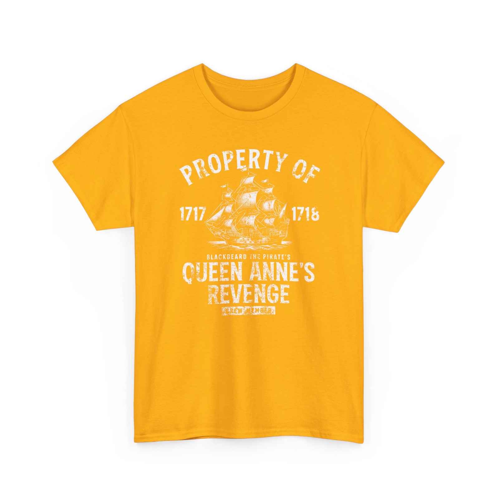 Queen Anne&rsquo;s Revenge Ship Graphic T-Shirt Pirate Ship 1717 1716