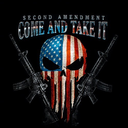 Second Amendment « Come and Take It » Guns Skull Mens T Shirt Size S Gildan Black