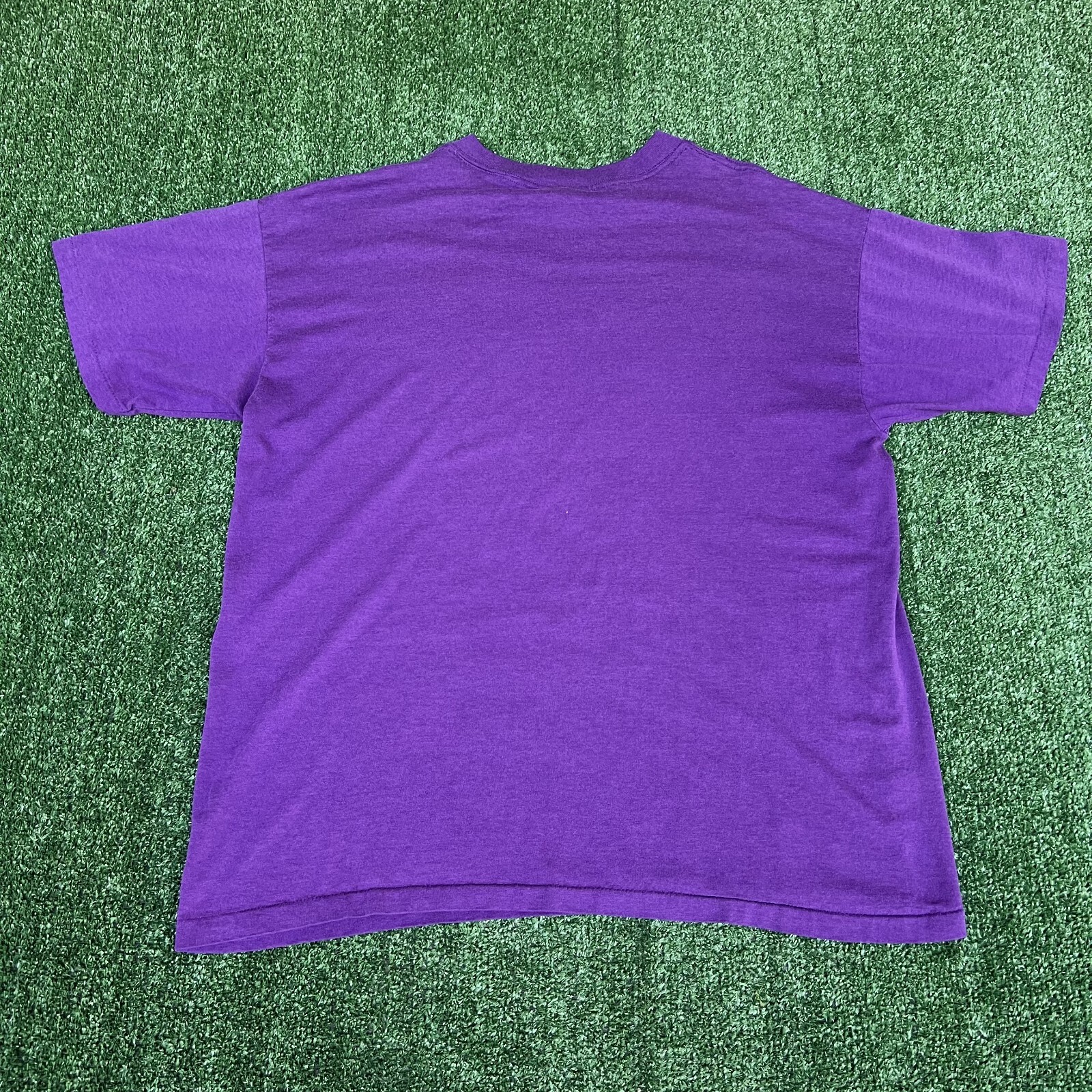 VTG State Nature T-Shirt Mens L / XL Blue Purple Black Florida West Virginia 90s