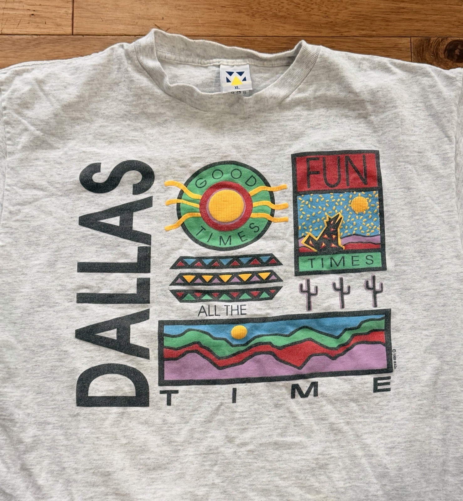 Vintage Dallas Texas Graphic T Shirt XL Southwest Desert Art Single Stitch
