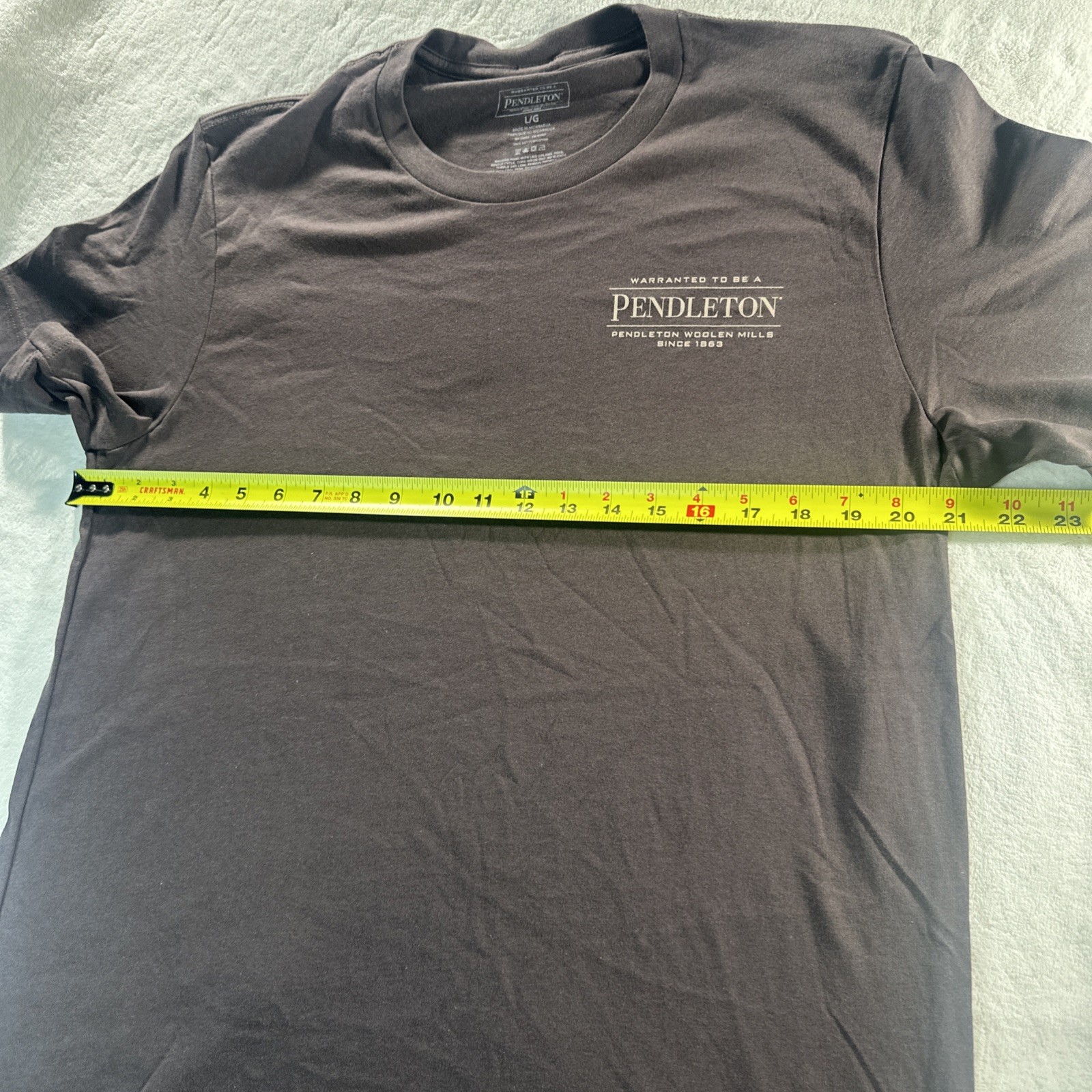 Pendleton Men’s graphic T Shirt Brown Short Sleeve Outdoors Camping LARGE NWOT