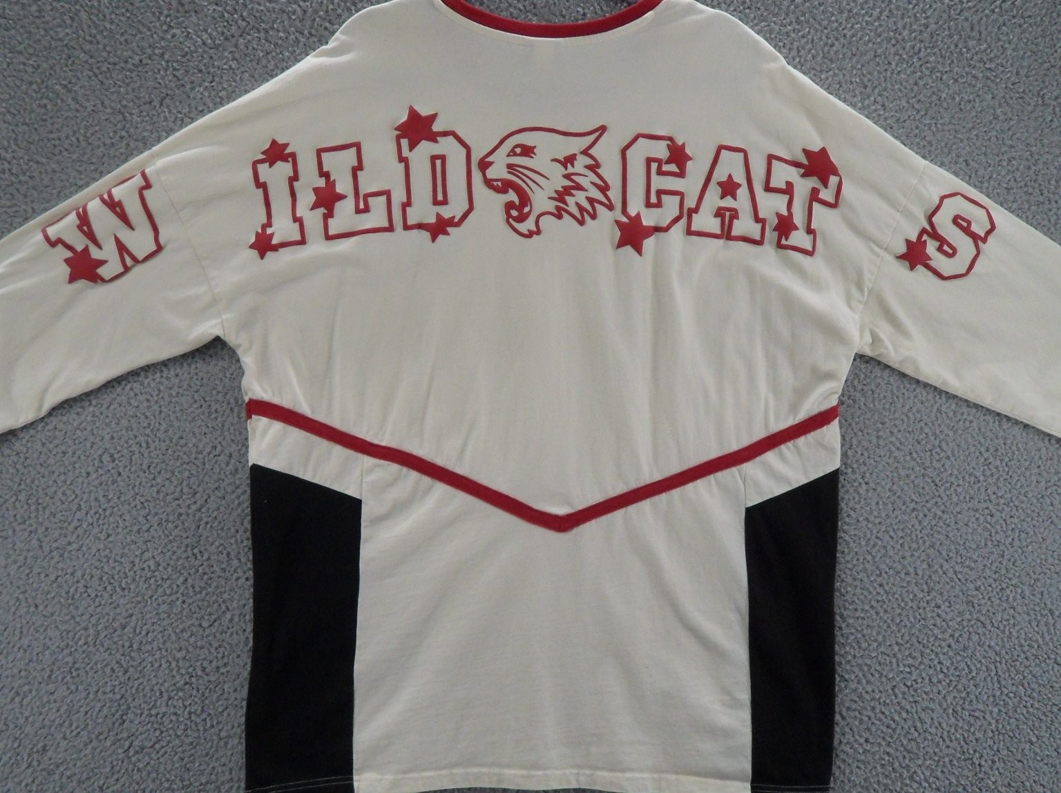 High School Musical Shirt Mens XL Wildcats Mascot Disney BoxLunch Long Sleeve