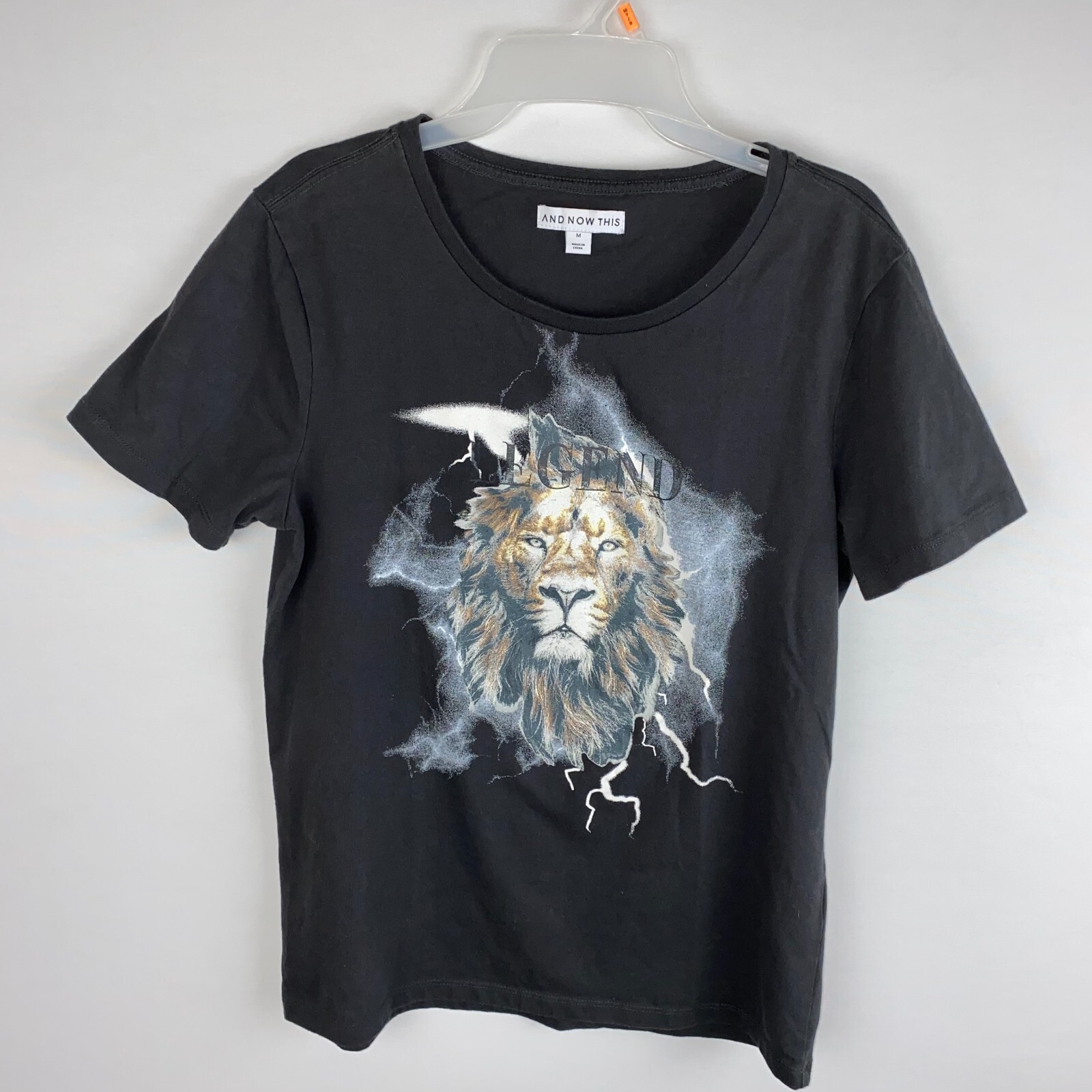 And Now This Legend Lion Dark Charcoal Gray Mens Short Sleeve Black T-Shirt M