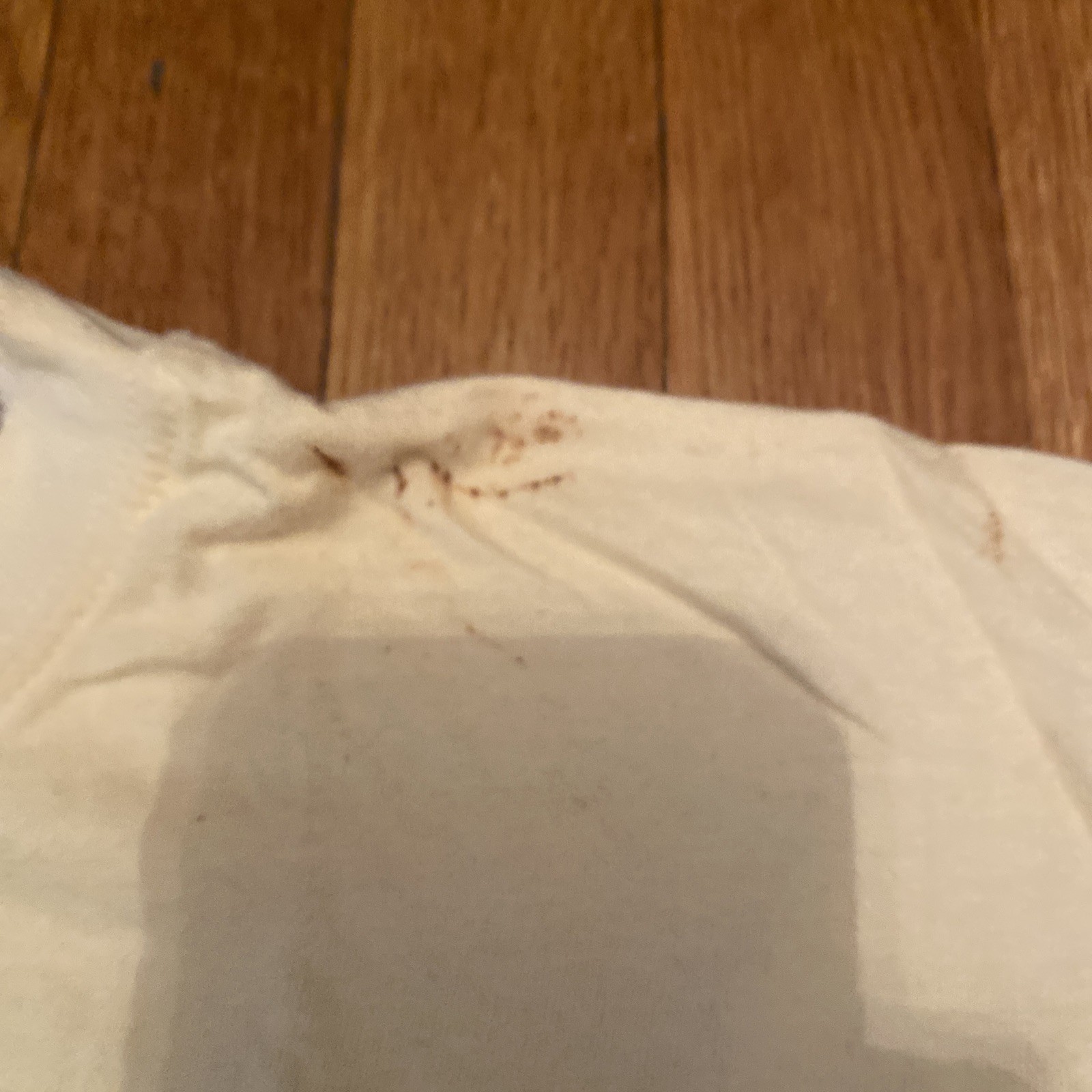 AVIREX Variety T-Shirt Mens XL Cream USA Retro Tshirt – Used – Free Shipping