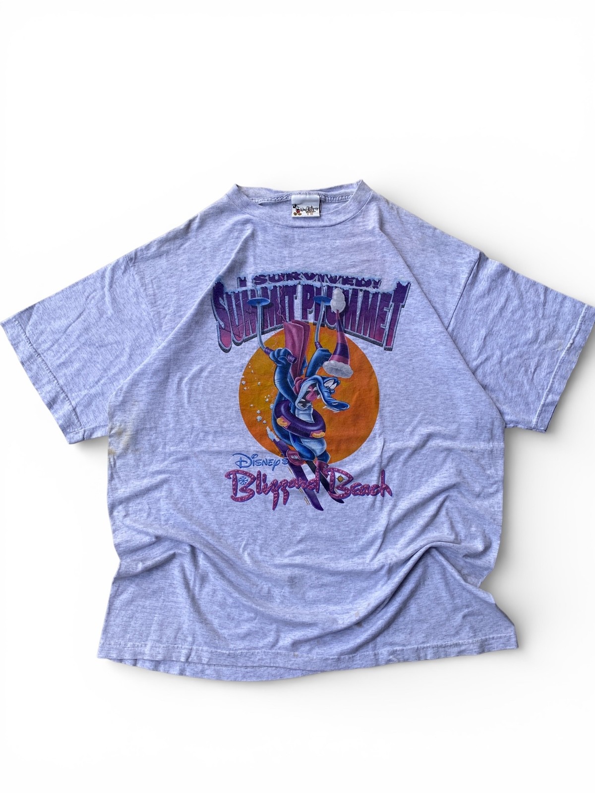 Rare Disney Blizzard Beach Doublesided
