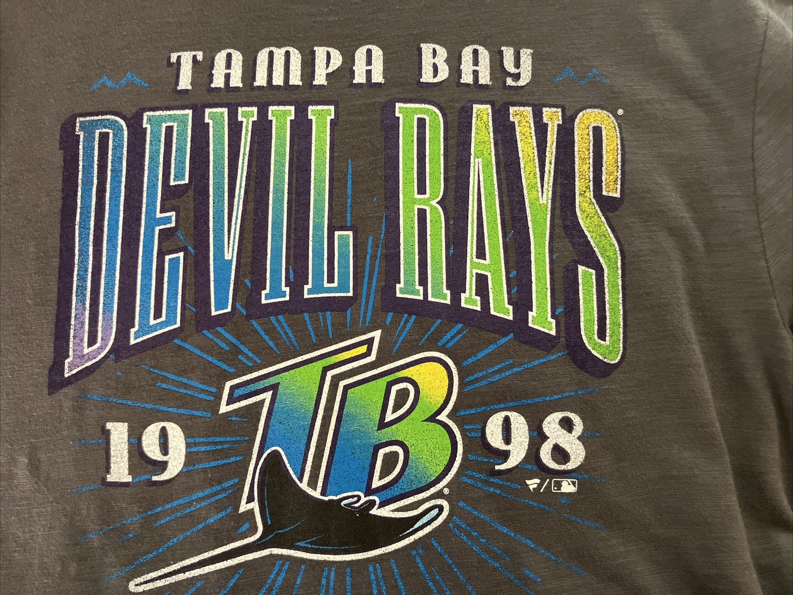 Fanatics Tampa Bay Devil Rays T-Shirt Mens Medium Gray MLB Baseball Graphic Tee