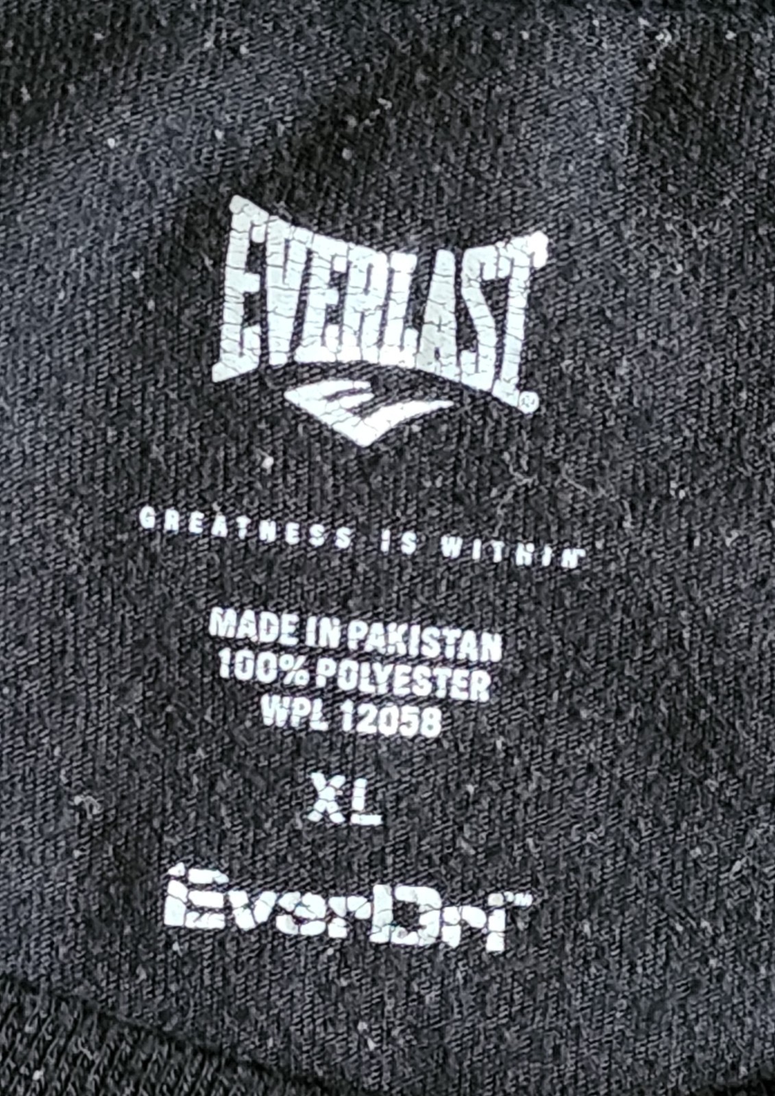 Everlast Y2K Everdri T-Shirt Men&rsquo;s Sz XL Athletic Workout Gym Boxing Tee