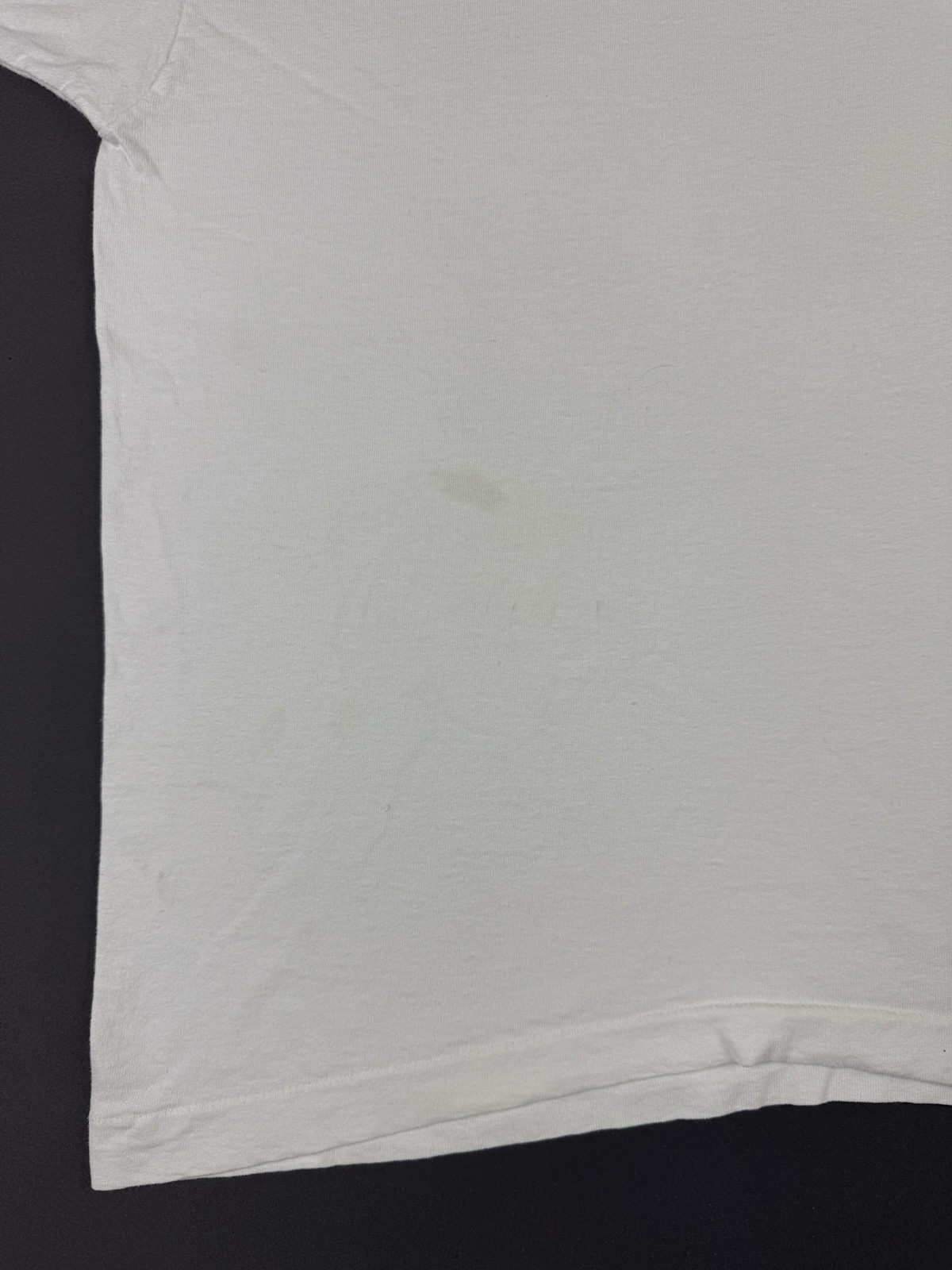 Rare Vintage 90s An Old Friend Is A Garden Of Great Delight Art Painting White T