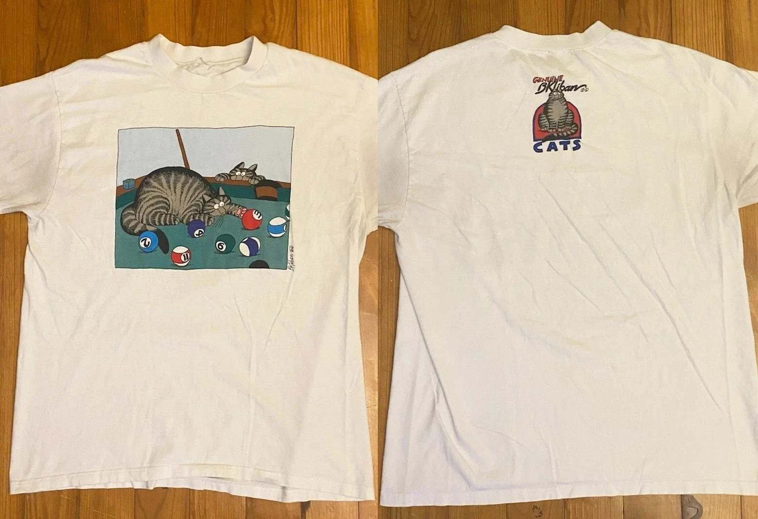 Crazy Shirts Hawaii Cat Pool Graphic T-Shirt