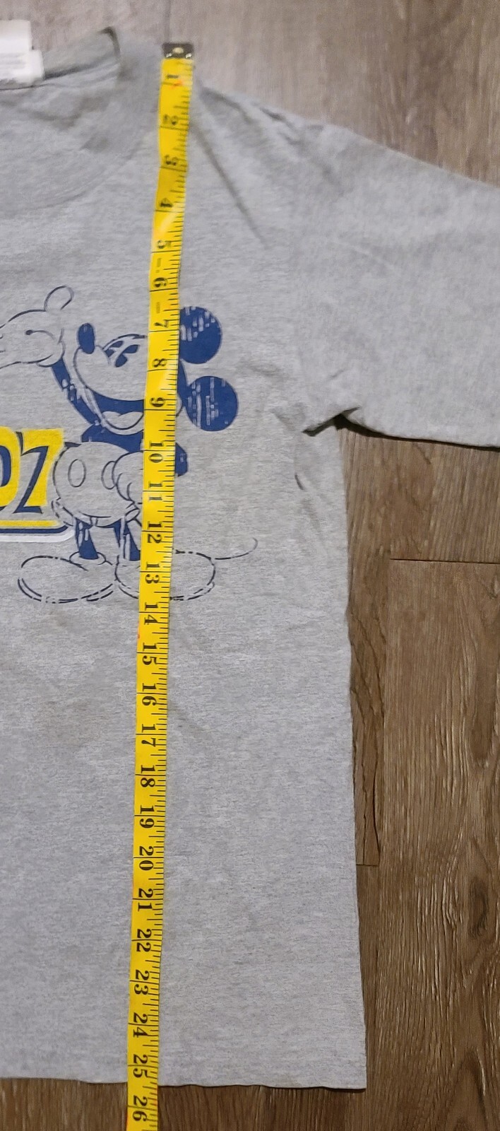 Walt Disney World T-Shirt Men&rsquo;s Small Gray Cotton Springer Break 07 Short Sleeve