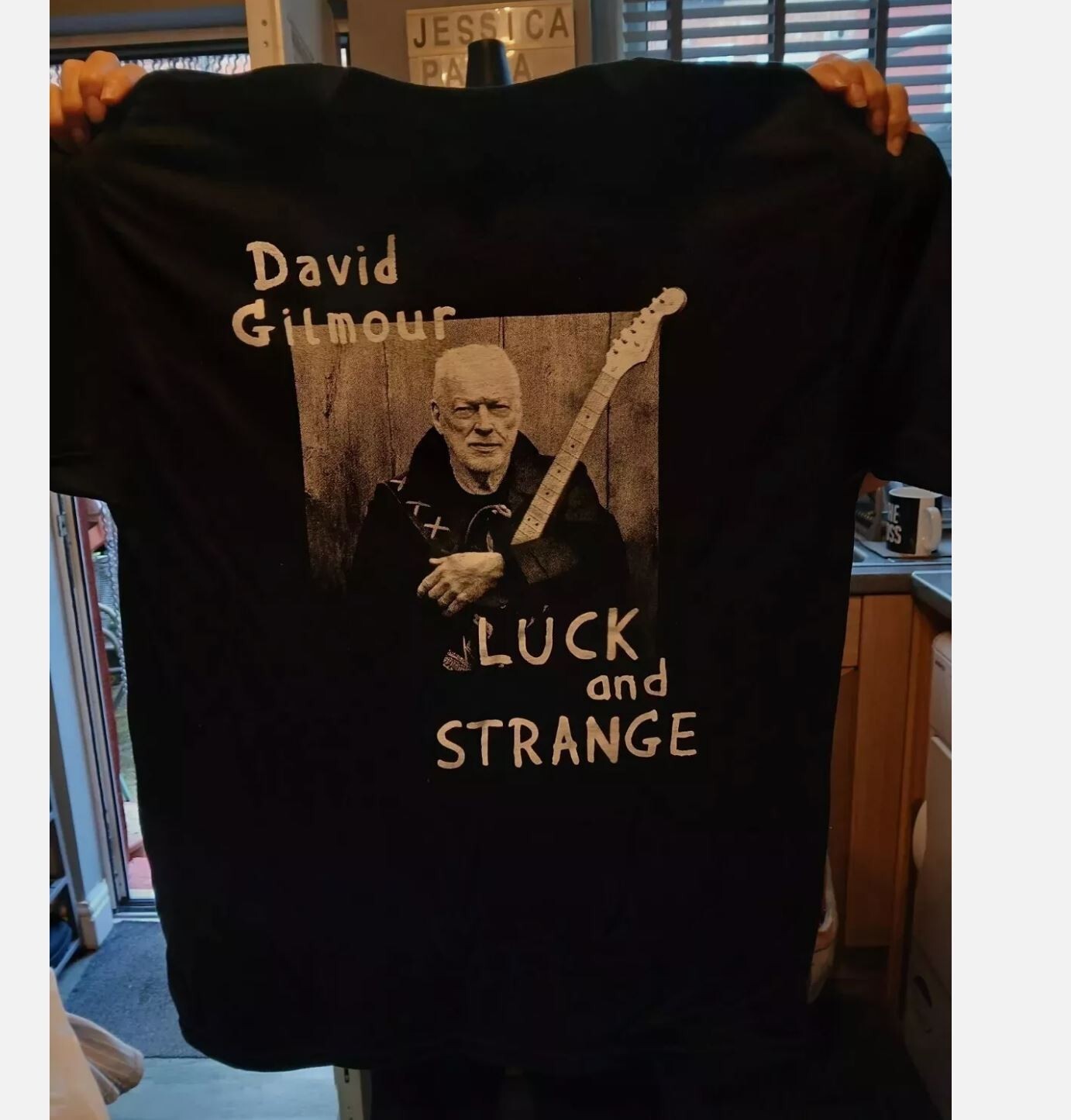 David Gilmour Luck And Strange 2024 Tour T Shirt