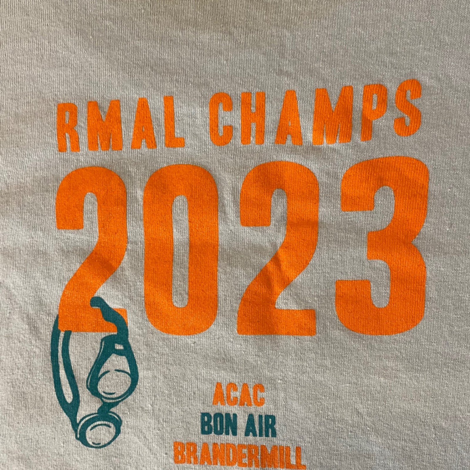 Gildan T-Shirt Mens L Richmond VA Metro Aquatic League Championship 2023 Blue