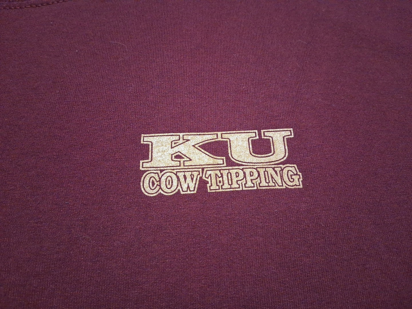 Vtg XL Jerzees Kutztown University Cow Tipping Back Graphic Collegiate T Shirt