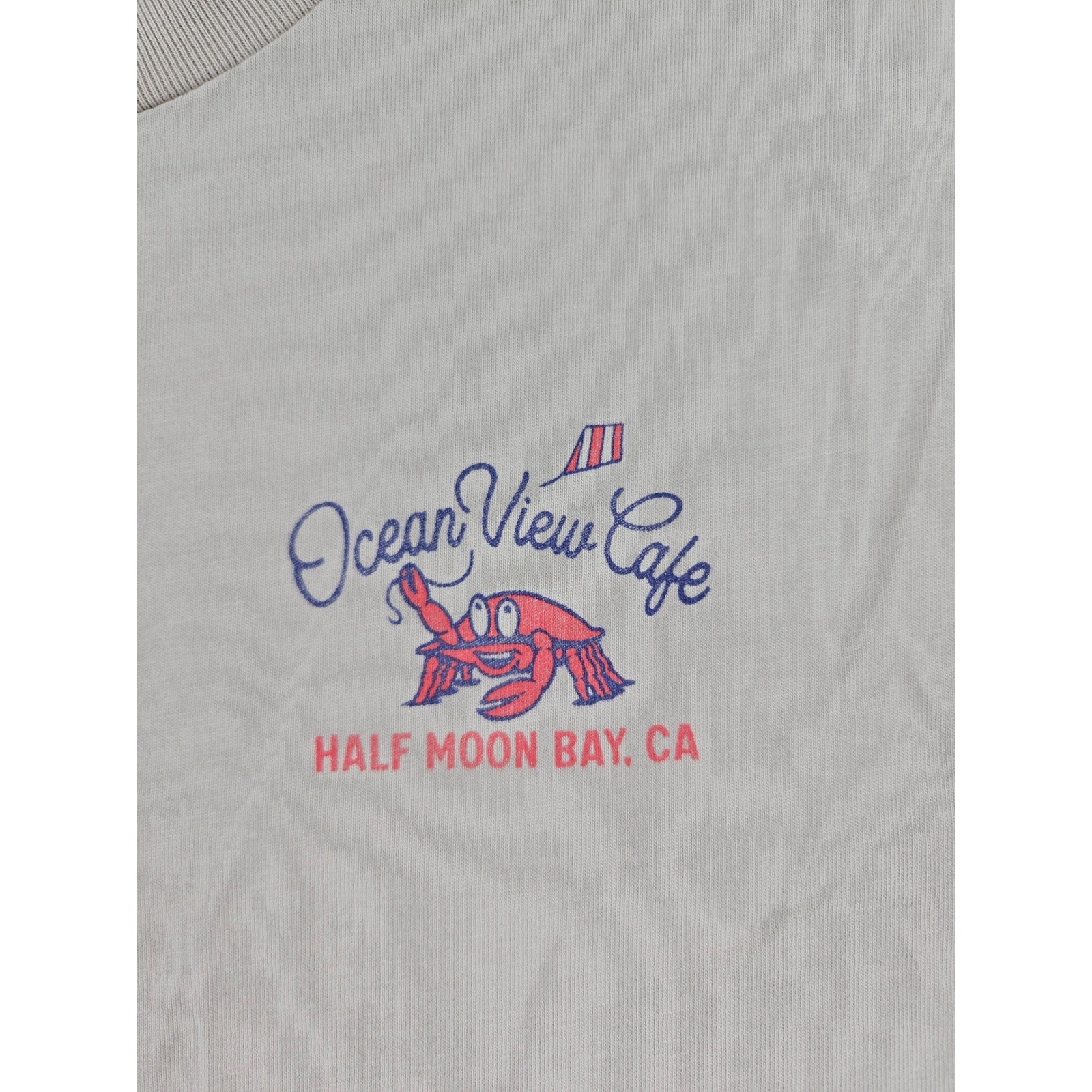 Hollister Mens Heavyweight Boxy Tee Tan Ocean View Cafe Half Moon Bay Graphic M