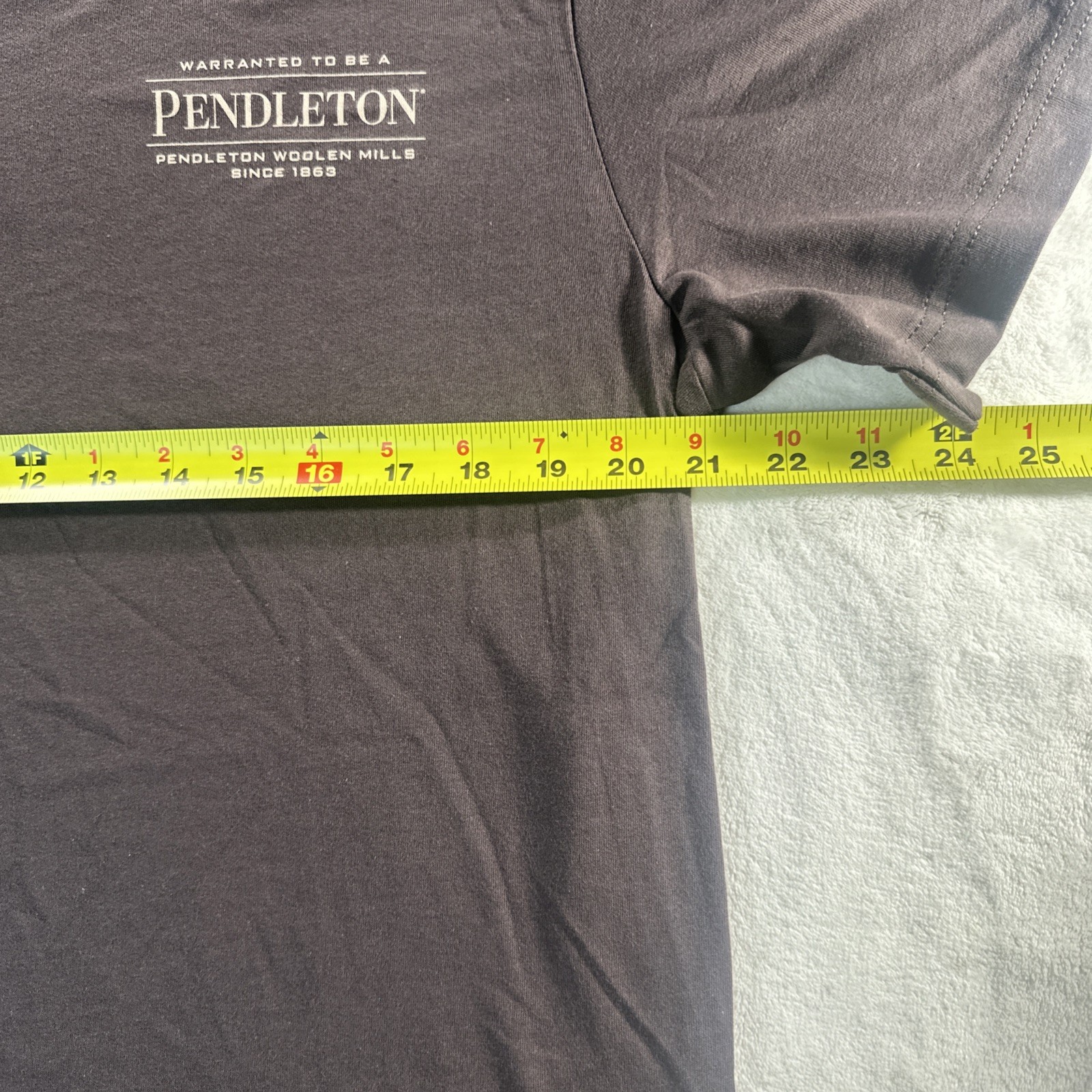 Pendleton Men’s graphic T Shirt Brown Short Sleeve Outdoors Camping LARGE NWOT