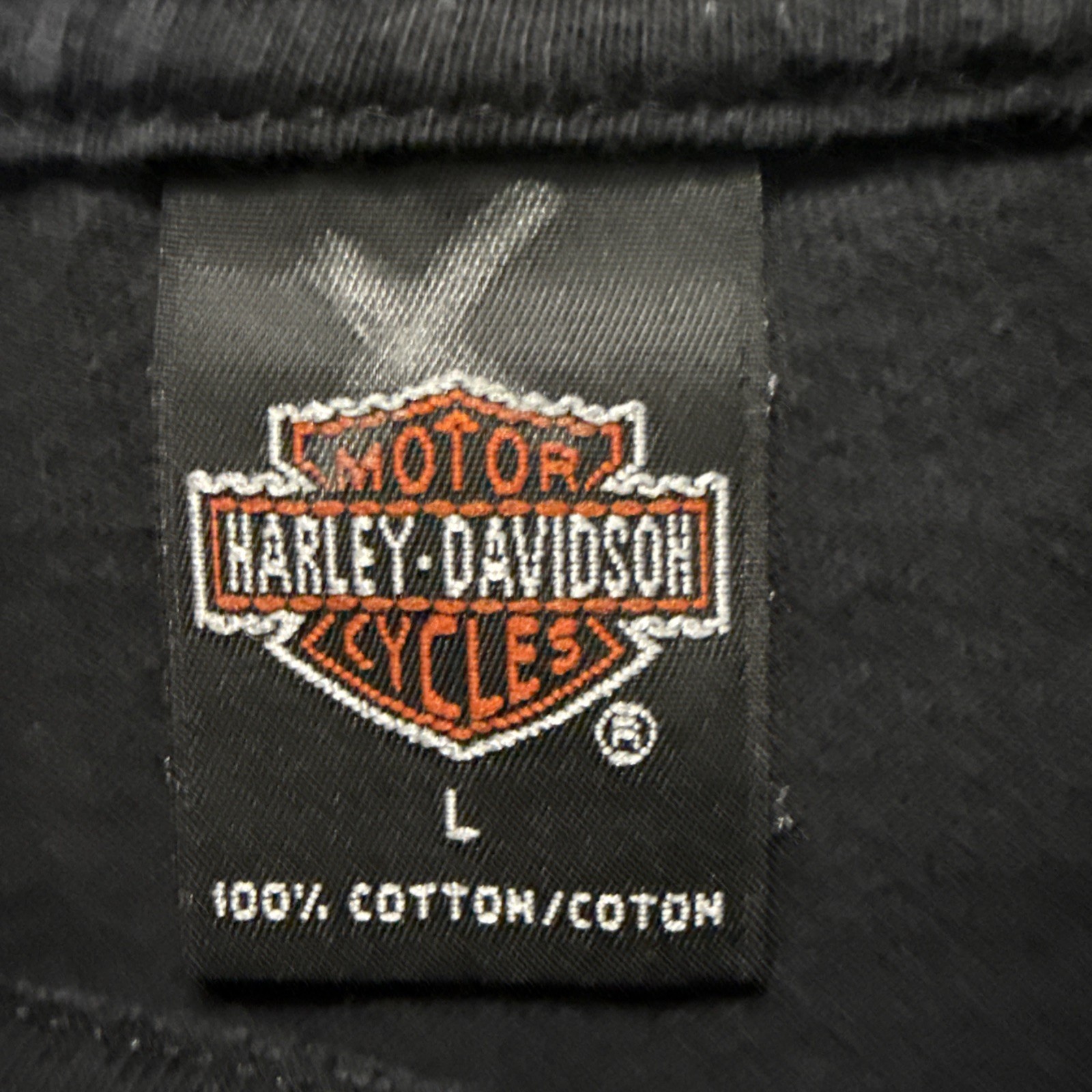 Vintage Harley Davidson Chicago Home of the Blues T Shirt Holoubek Large USA