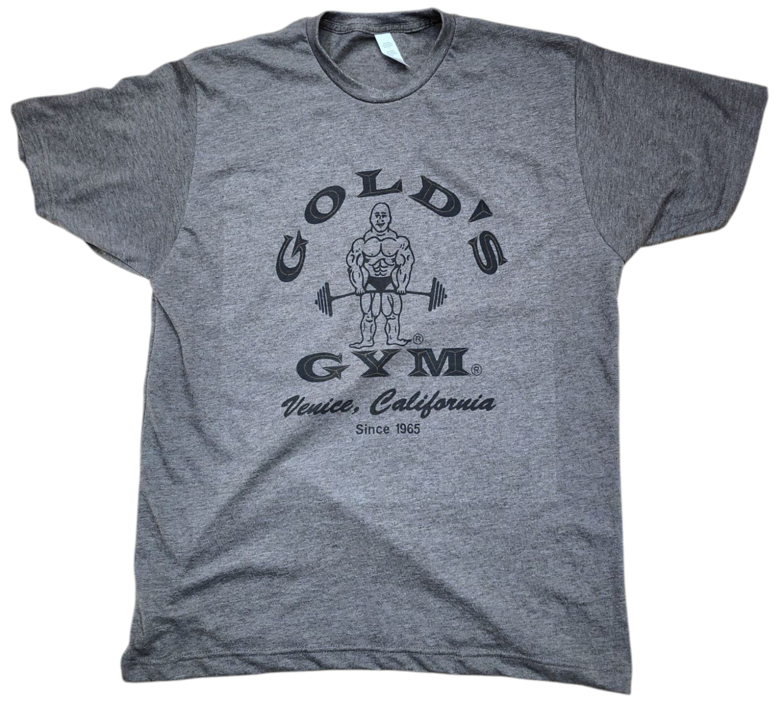 Men&rsquo;s Golds gym 1965 logo Color Vintage Charcoal