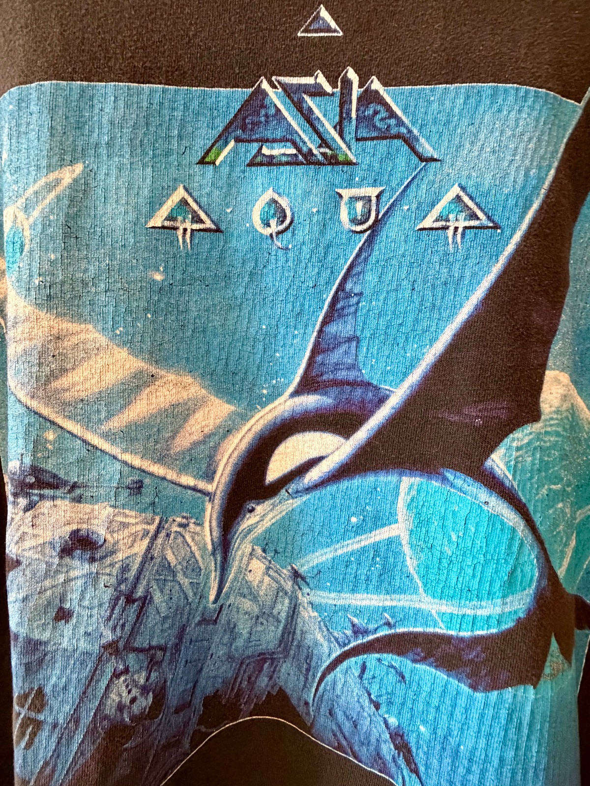 Vintage Asia T Shirt Aqua World Tour 1992 1993 Large Black Single Stitch RARE