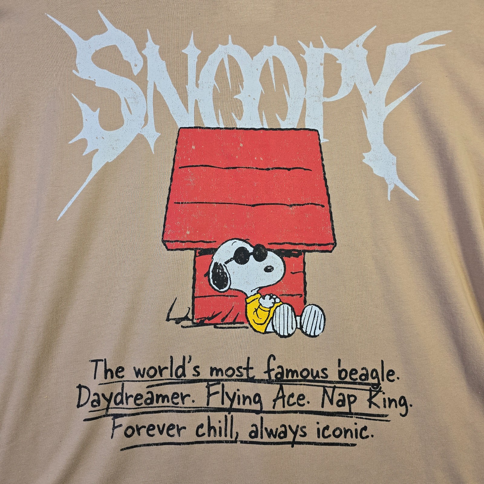 Peanuts® Snoopy Shirt Mens 2XL Brown Distressed Charlie Brown Baggy Street NWT