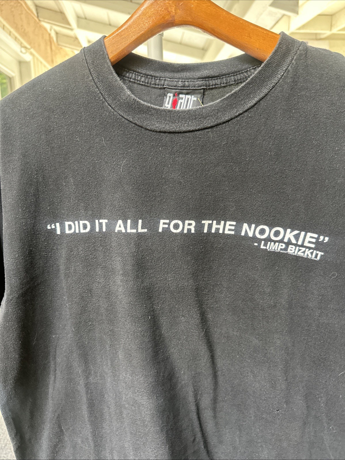1999 Vintage Limp Bizkit “I Did It All For The Nookie” Size Large 22×26