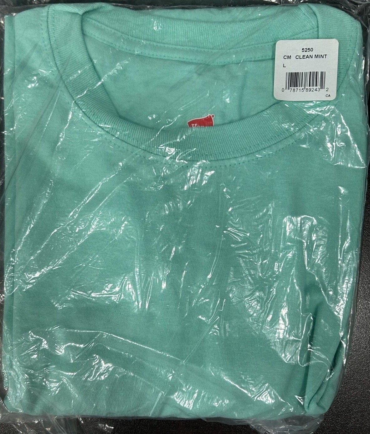 Hanes Tagless 100% Preshrunk Cotton Men&rsquo;s Size Large Tee Shirts Many Colors