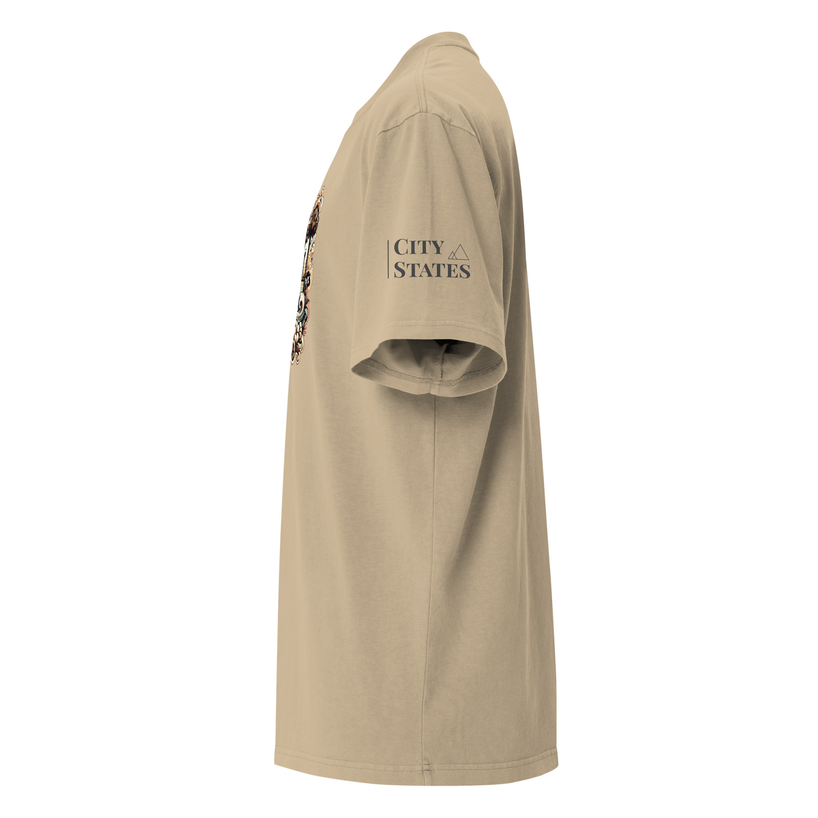 Oversized faded t-shirt (SOUTH CAROLINA)
