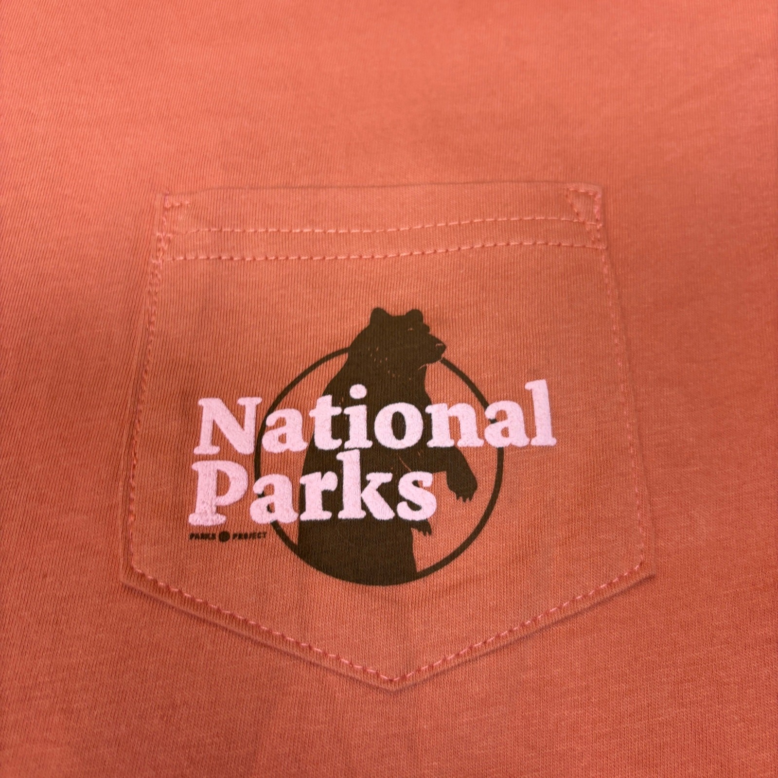 NWT Parks Project Our National Parks Puff Print Pocket T Shirt Men&rsquo;s XL
