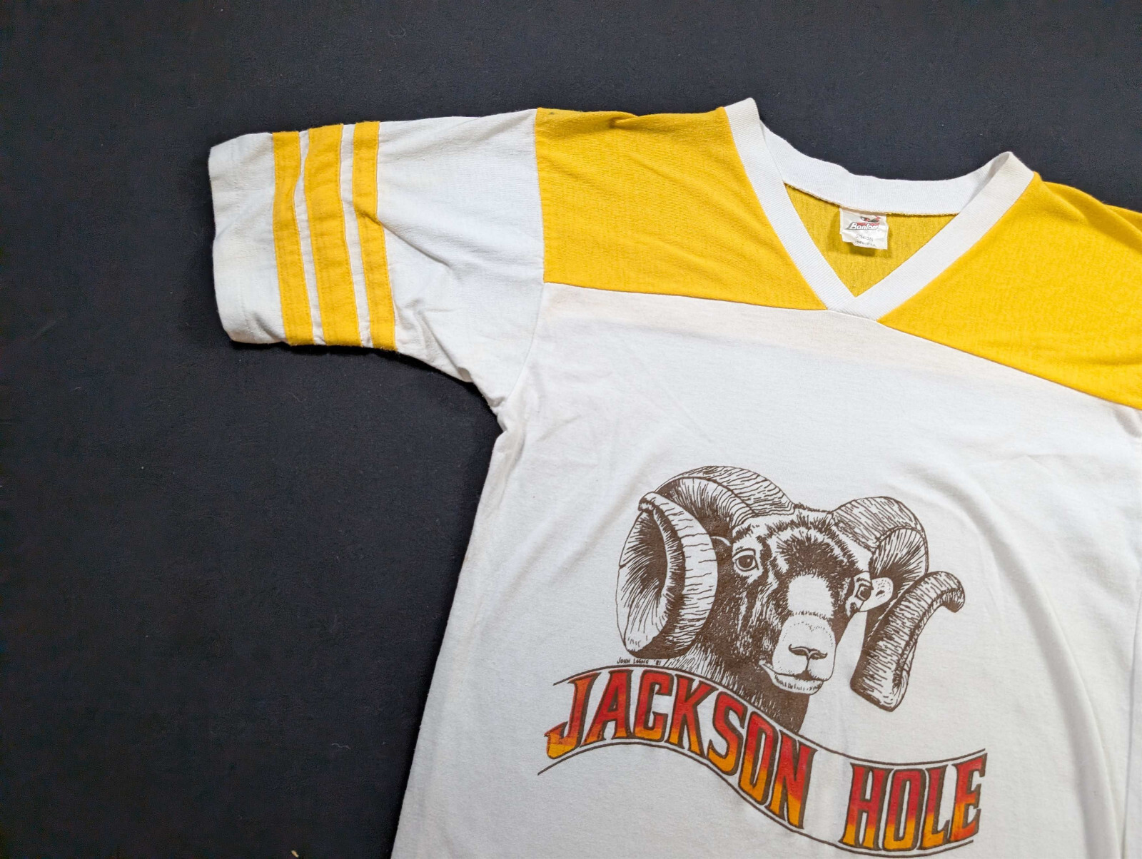 80s Bantam Jackson Hole Goat T-Shirt Size Small Yellow White Striped V-Neck