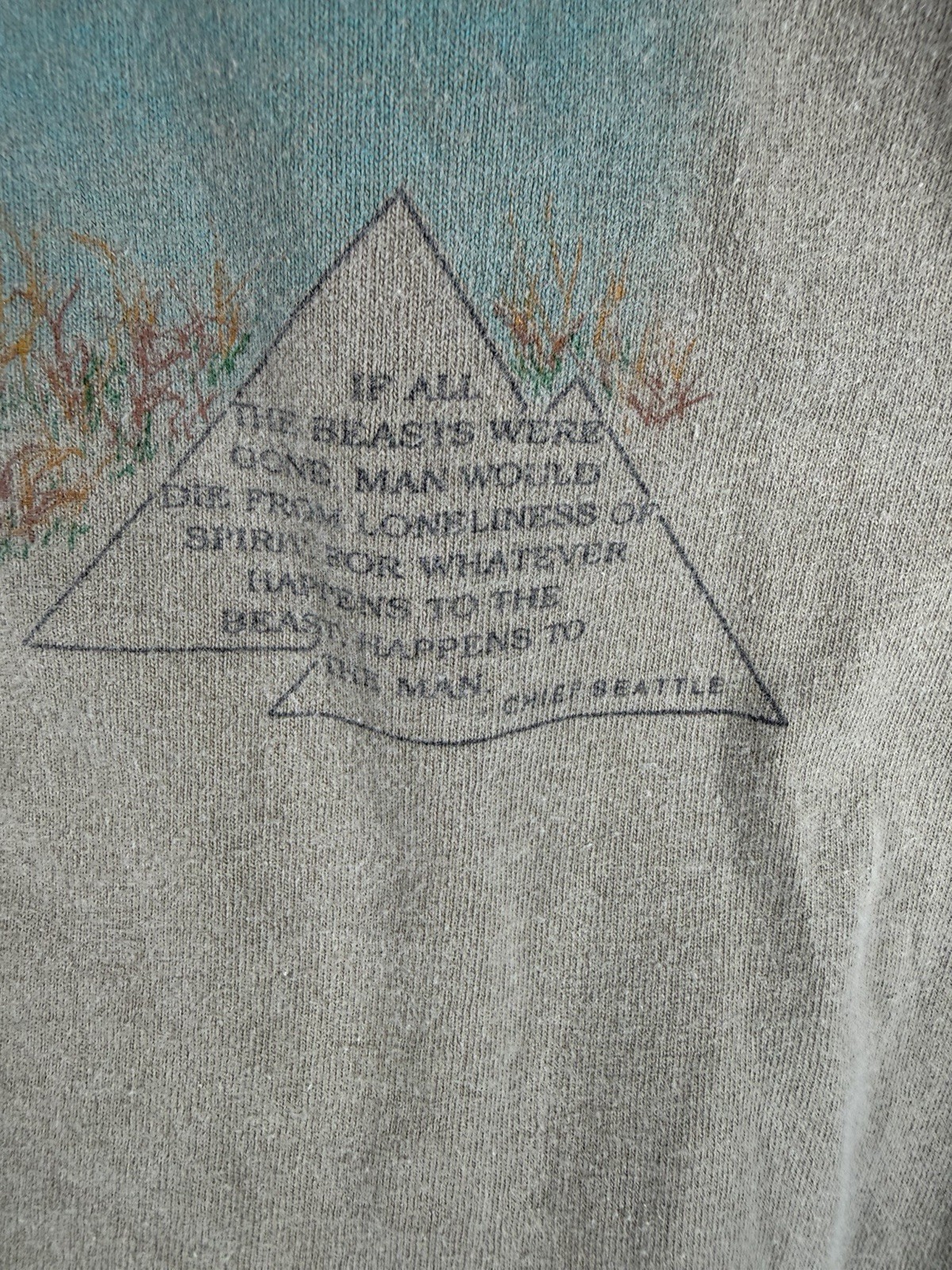 Vintage 90s Galt Sand Lion Wildlife Graphic T Made In USA Taupe Single Stitch L