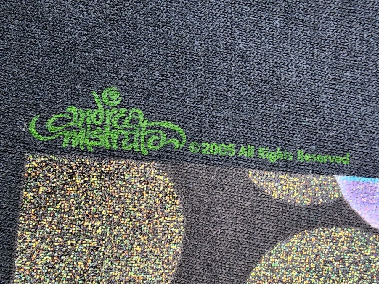 VINTAGE Mardi Gras Shirt Mens Large Peekaboo 2005 Andrea Mistretta Tee Adult A34