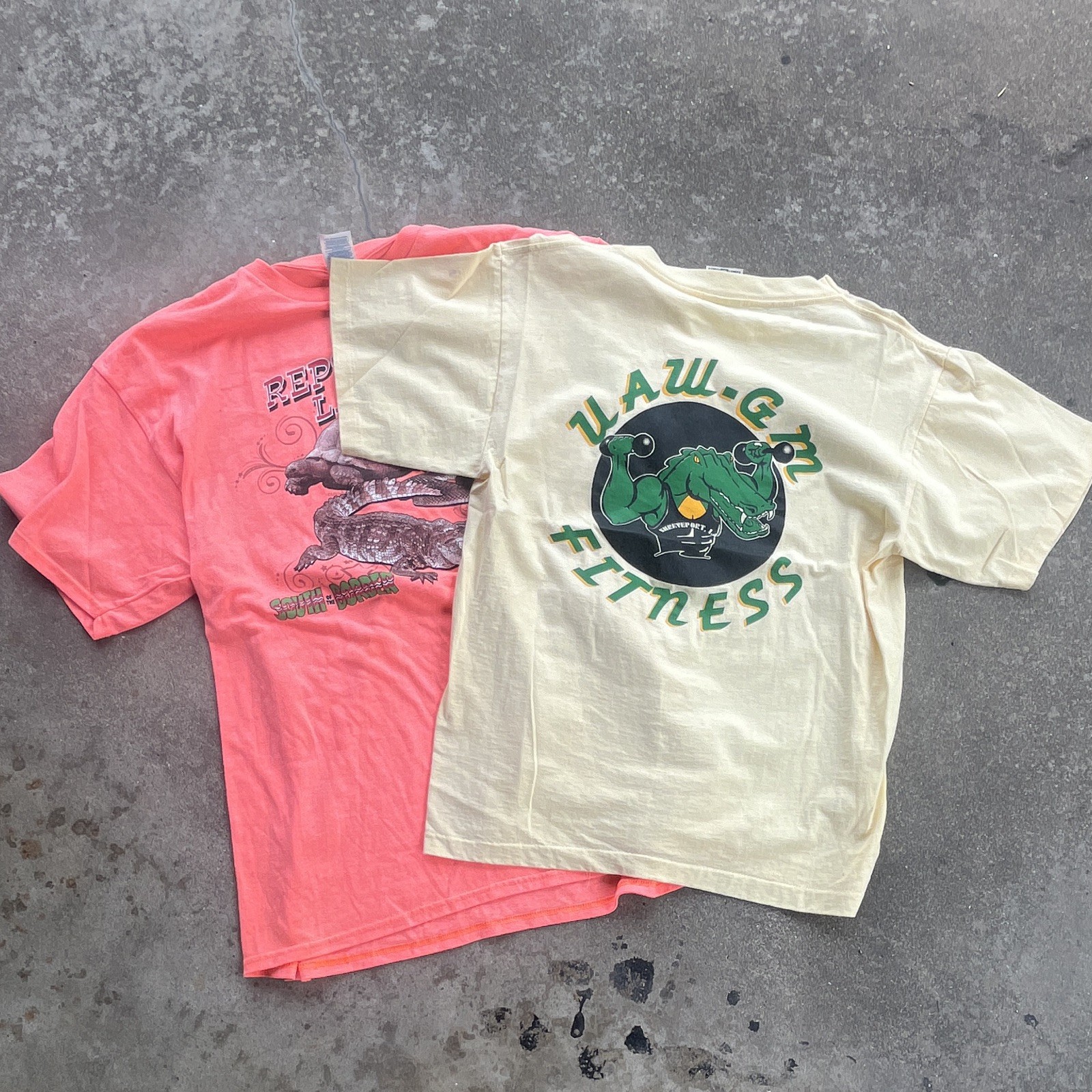 Vintage Weight Men&rsquo;s Graphic Tee Lot UAW-GM Fitness/Reptile M XL made in USA