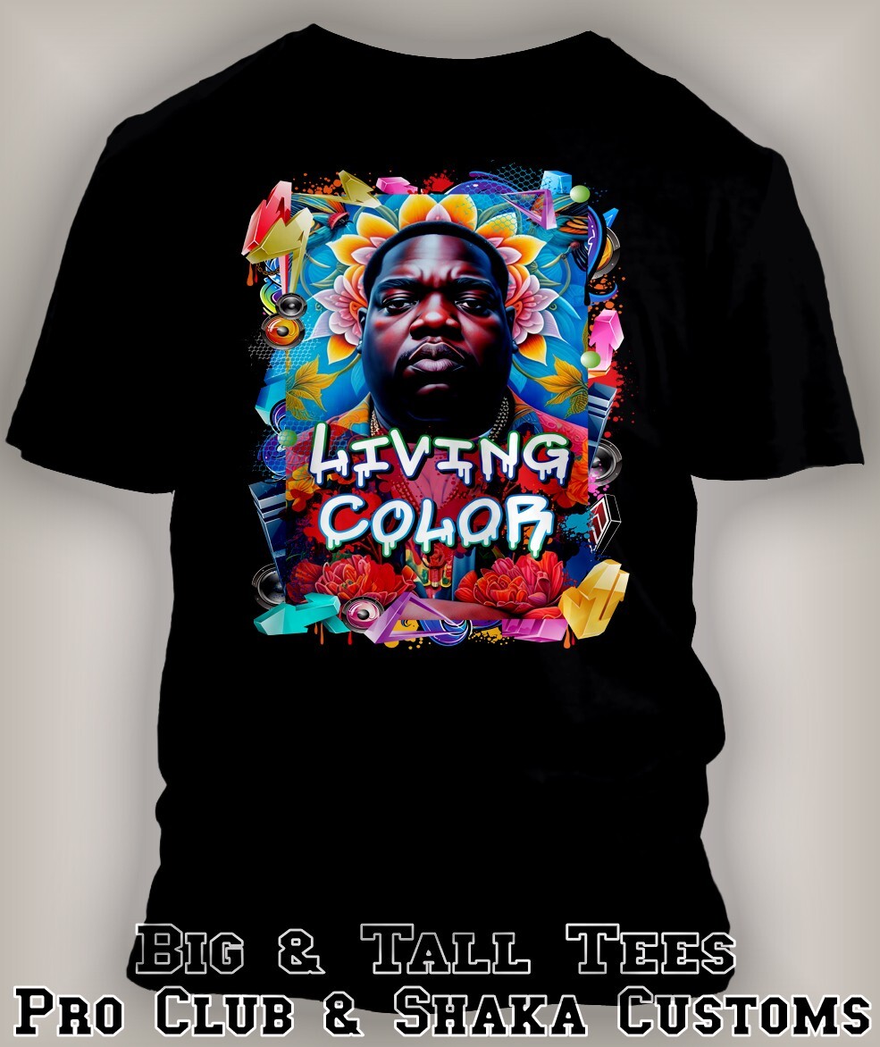 Biggie in Living Color Tee Shirt GreyStone 8XL Hip Sport Big Tee J6 Why Not