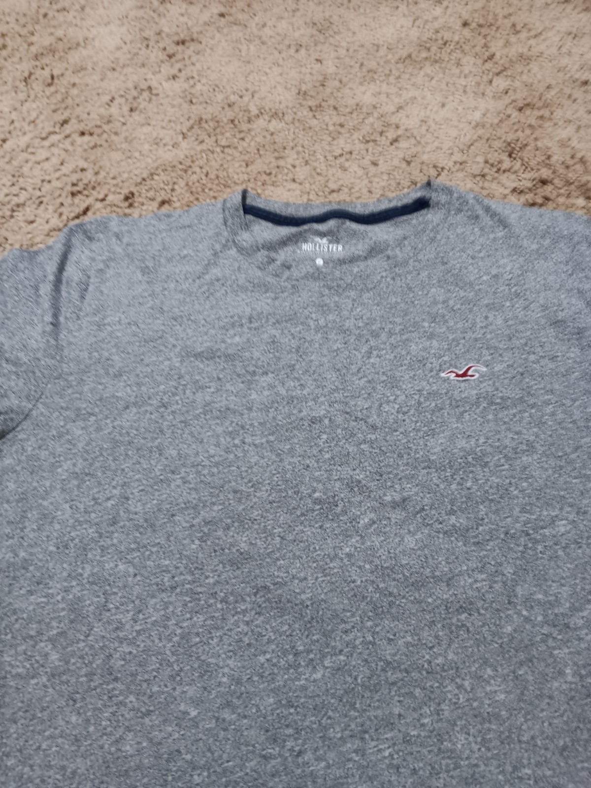 Hollister Must Have Collection Men&rsquo;s Medium T-Shirt