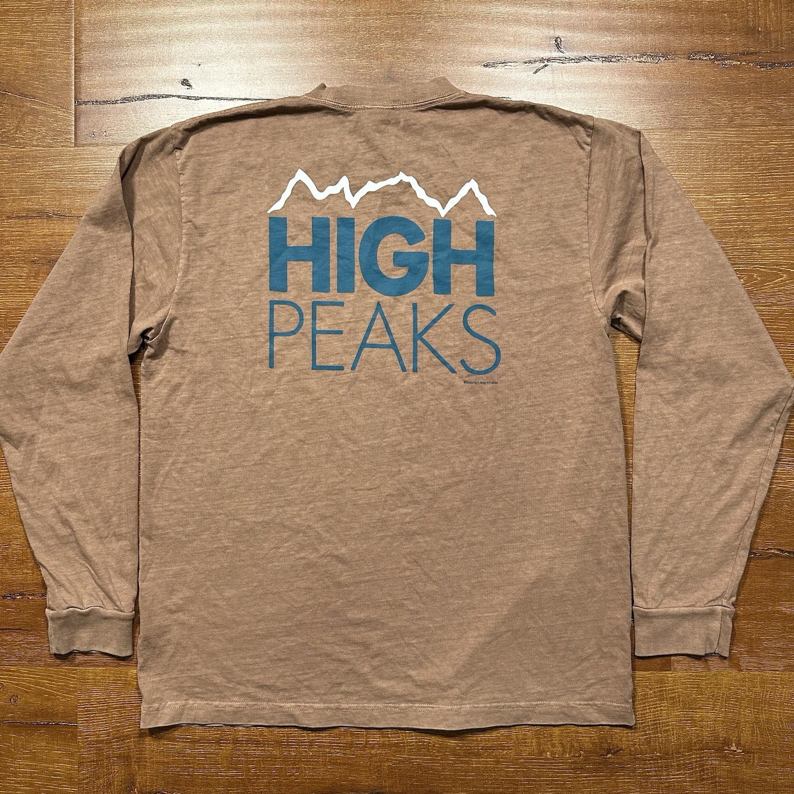 Only NY Long Sleeve T Shirt Mens M Brown High Peaks Adirondack Mountains Nature