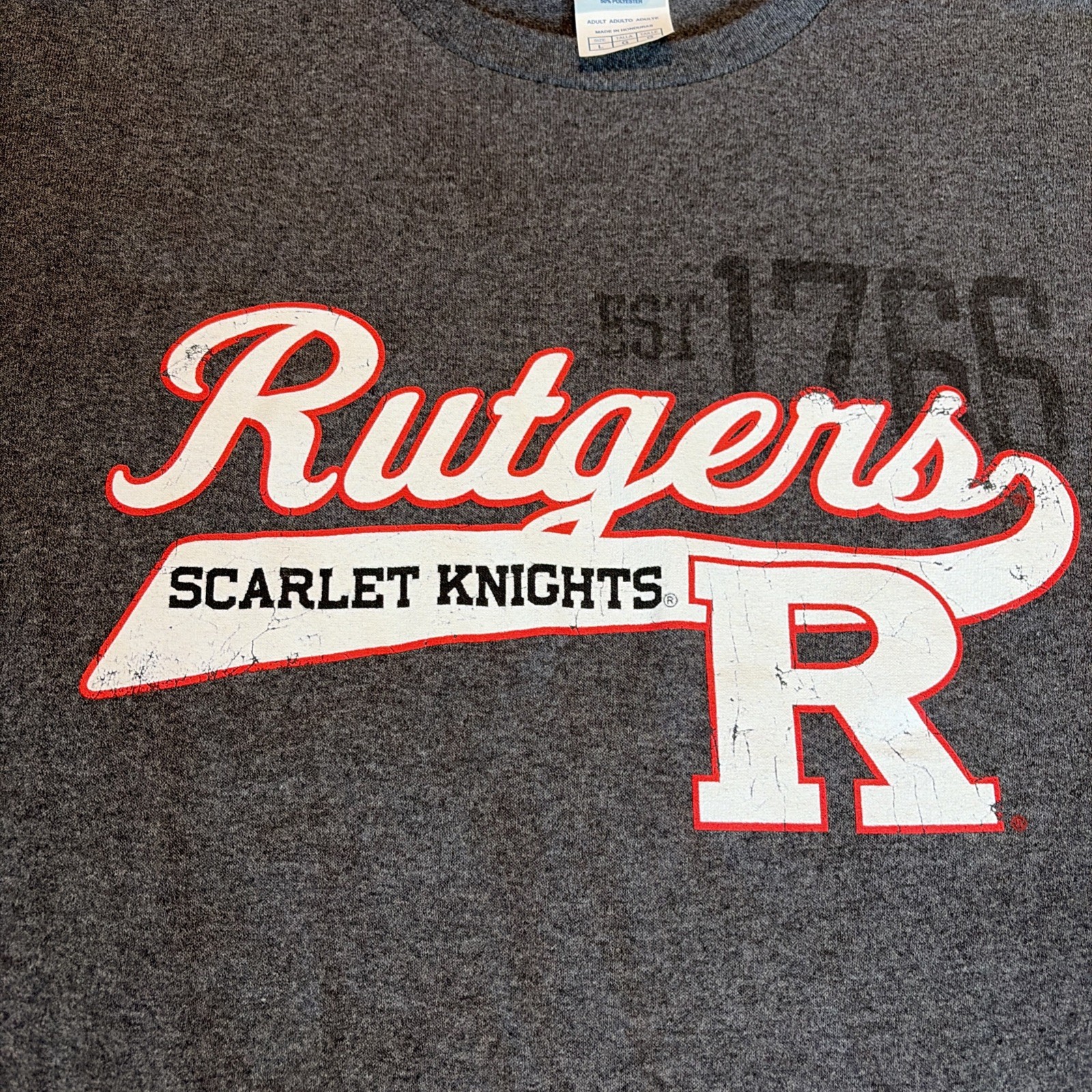 Vintage Y2K Rutgers University Collegiate Tee Shirt Size L Gray Scarlet Knights