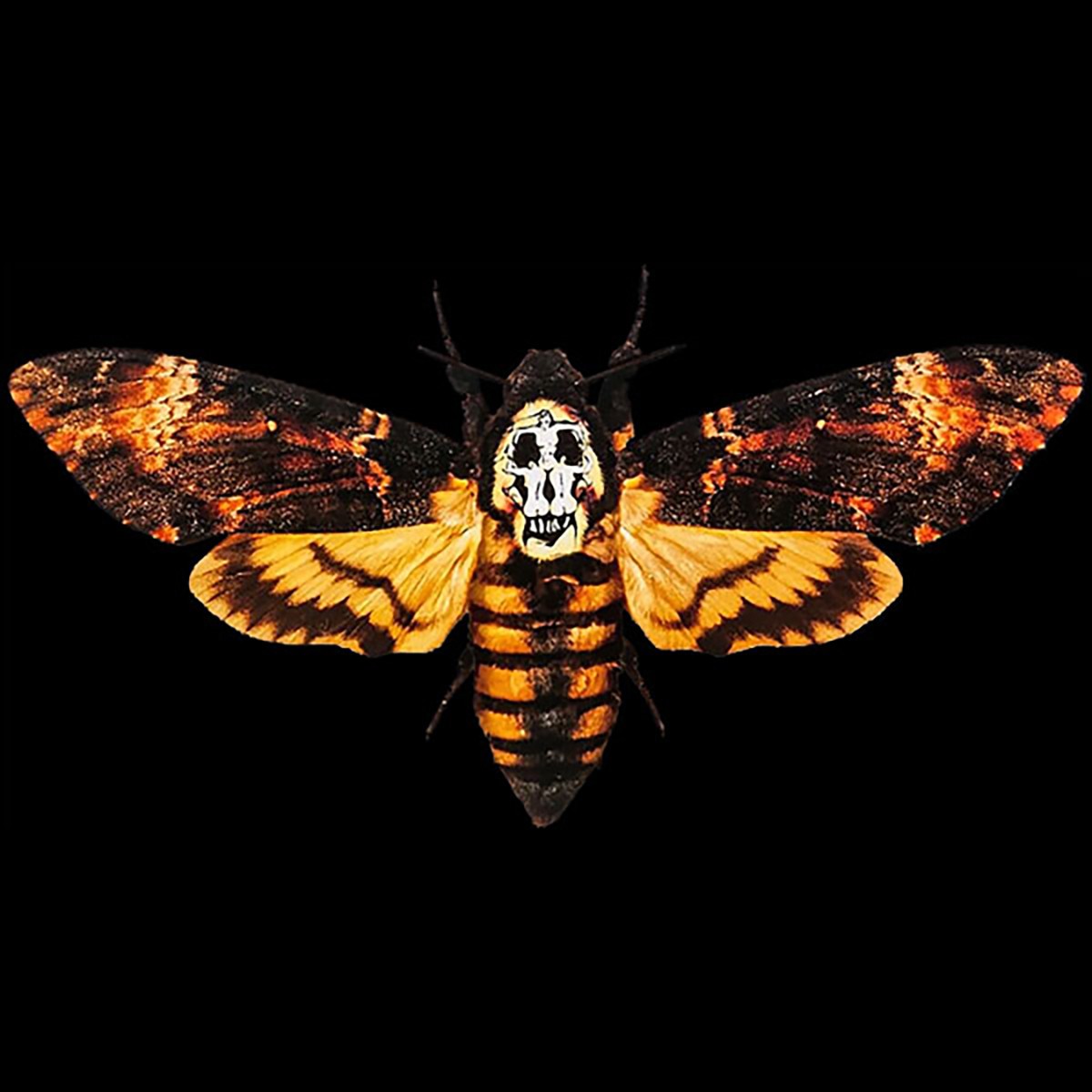 Silence Lambs Moth Shirt Death&rsquo;s Head Hawkmoth Skull Buffalo Bill Horror NFT684
