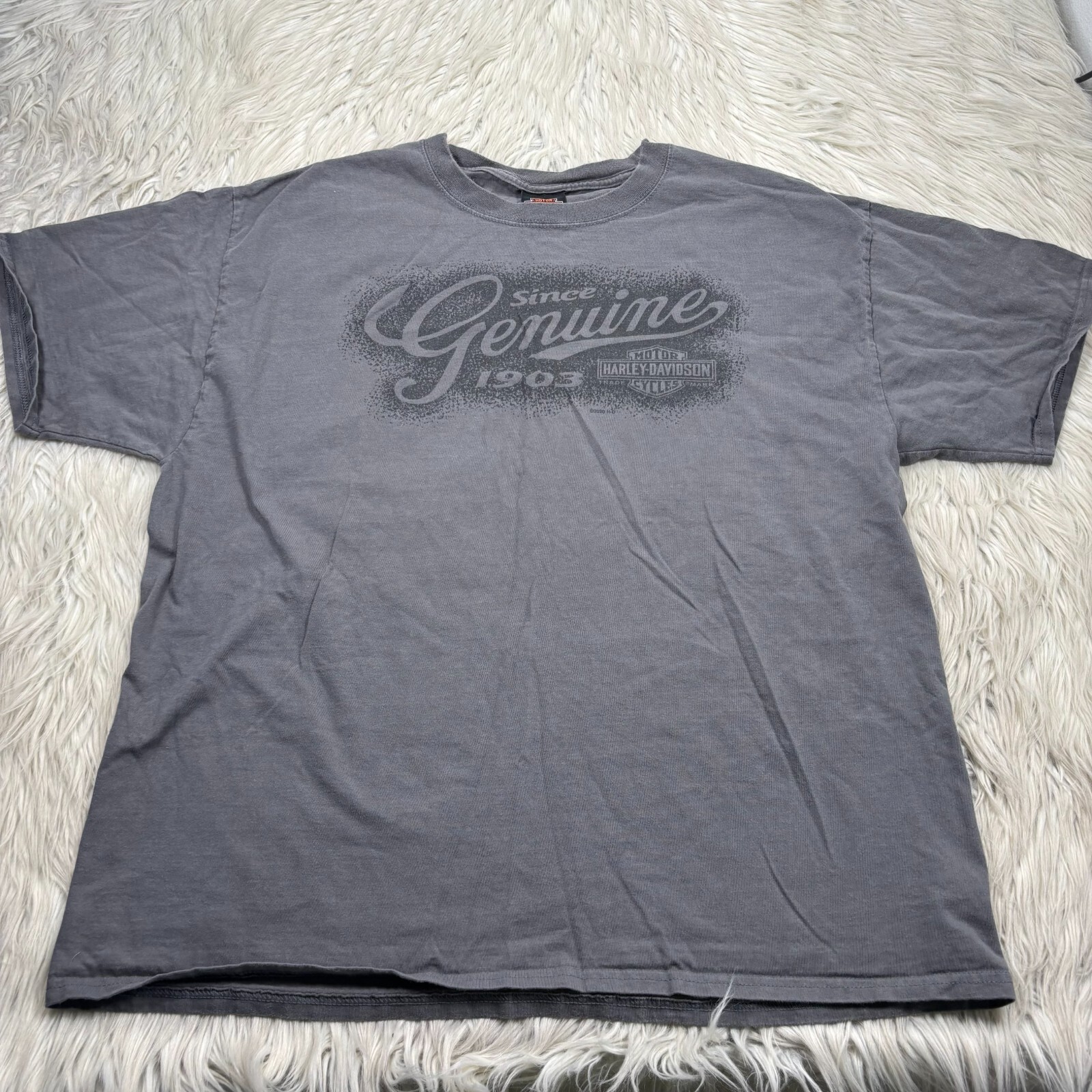 Harley-Davidson Men&rsquo;e XL Gray Potato Graphic Tee Boise Idaho High Desert
