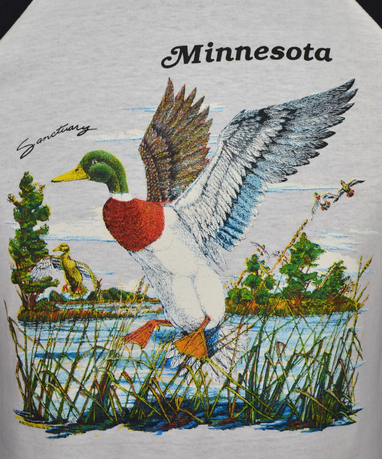 Vintage Minnesota Raglan T-Shirt Duck Sanctuary Nature Wildlife Tourist 1980&rsquo;s