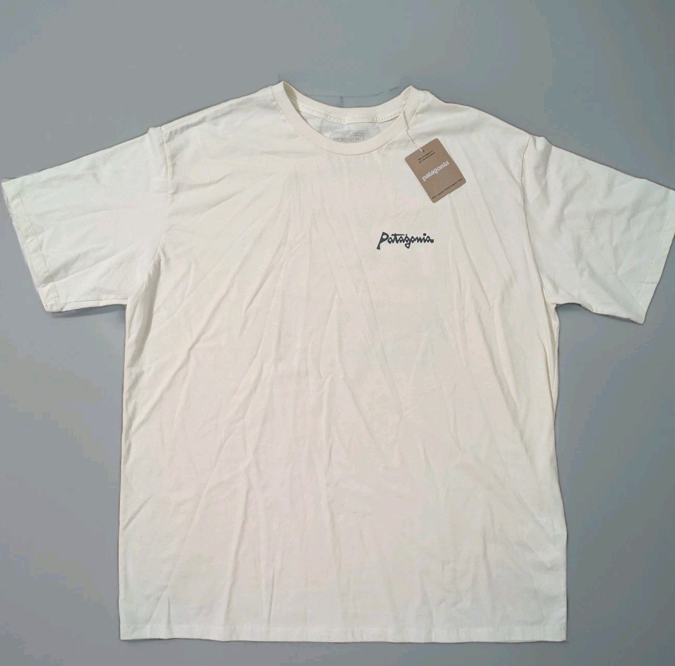 Patagonia Men&rsquo;s Aquatic Action Organic T-shirt Little Fish: Undyed Natural XL