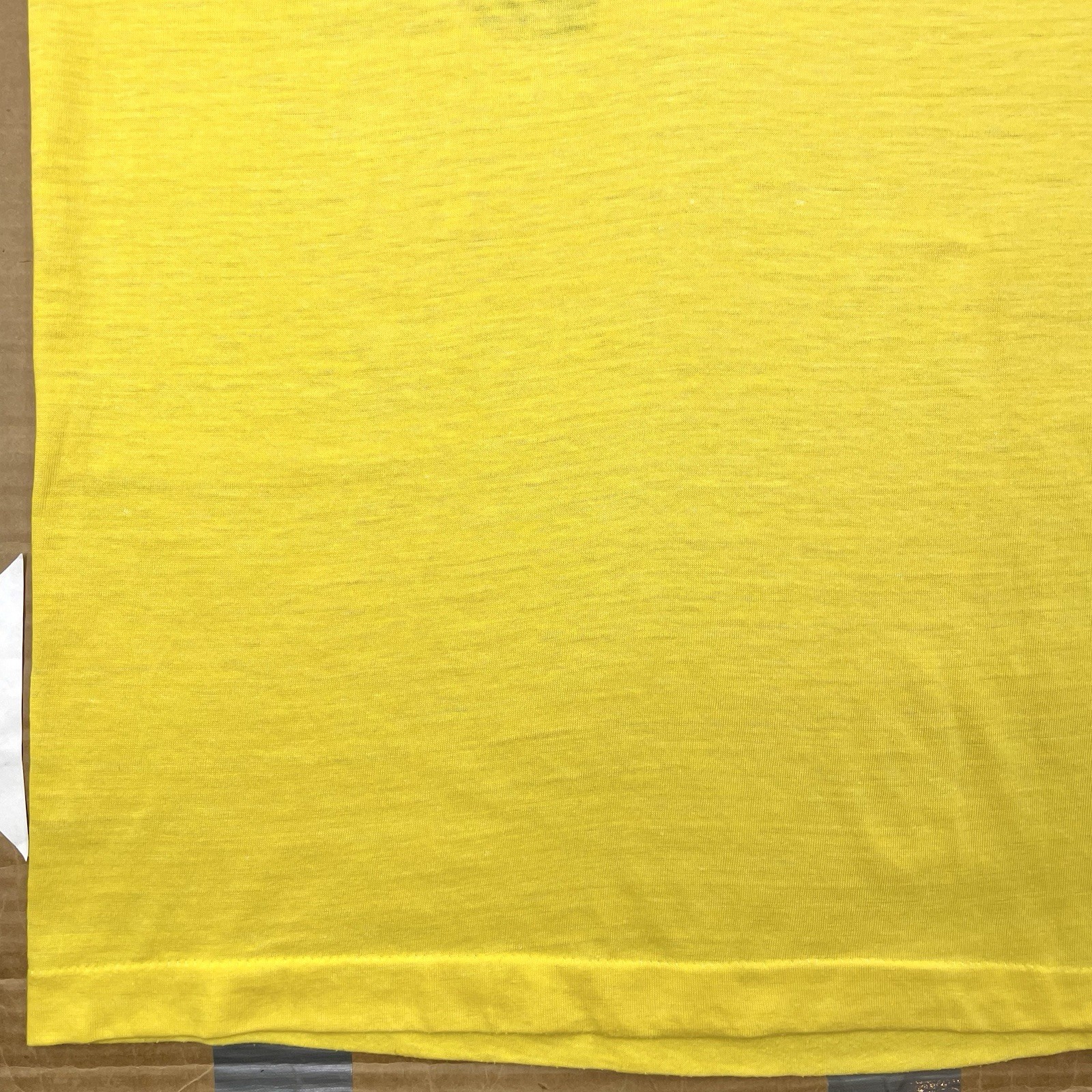 VTG 70s/80s Ziggy 18” x 26.5” Vacation / Class Tshirt