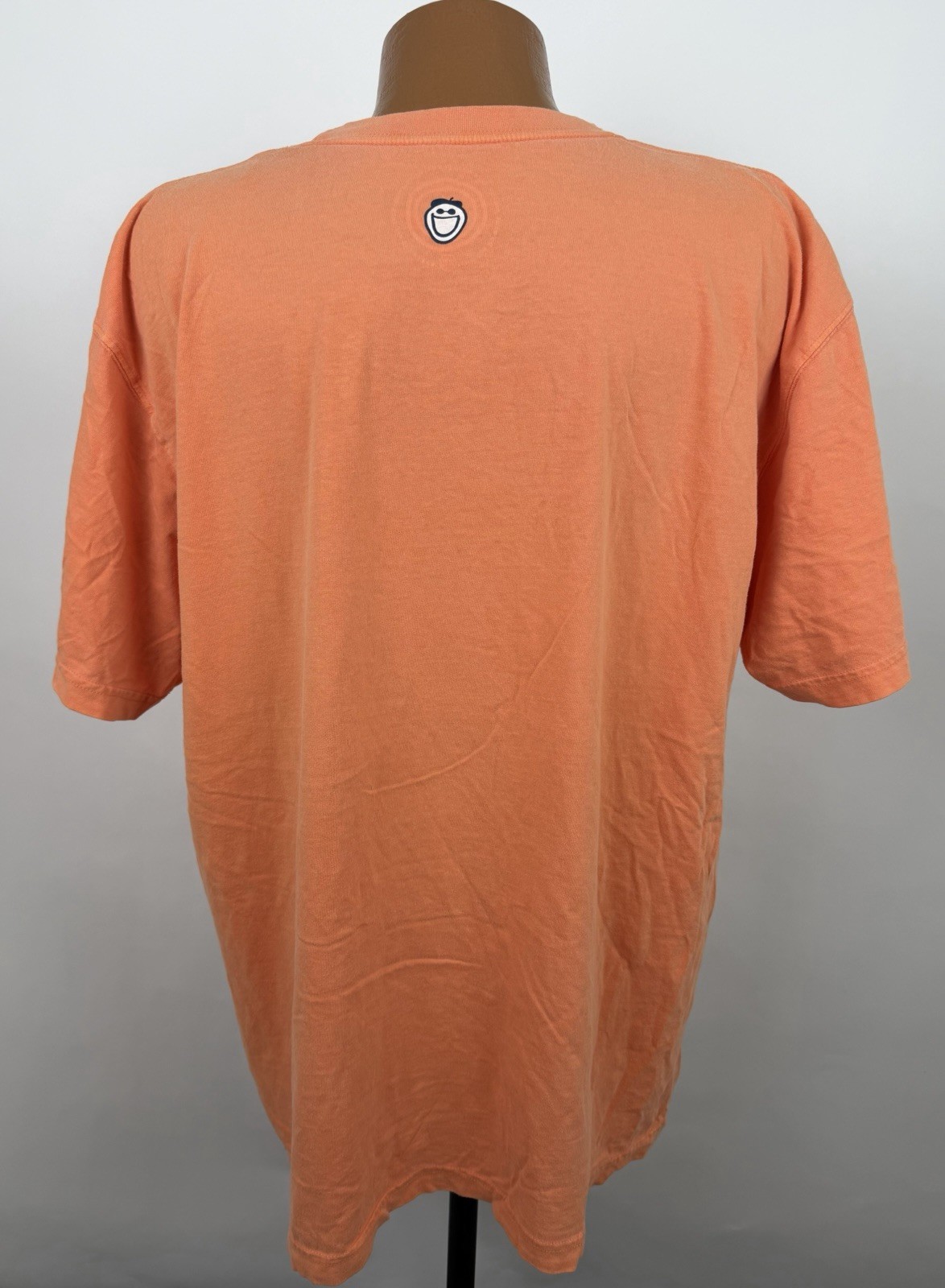 Life Is Good Shirt Mens XL Orange Short Sleeve T-shirt Mountain Climbing Hiking