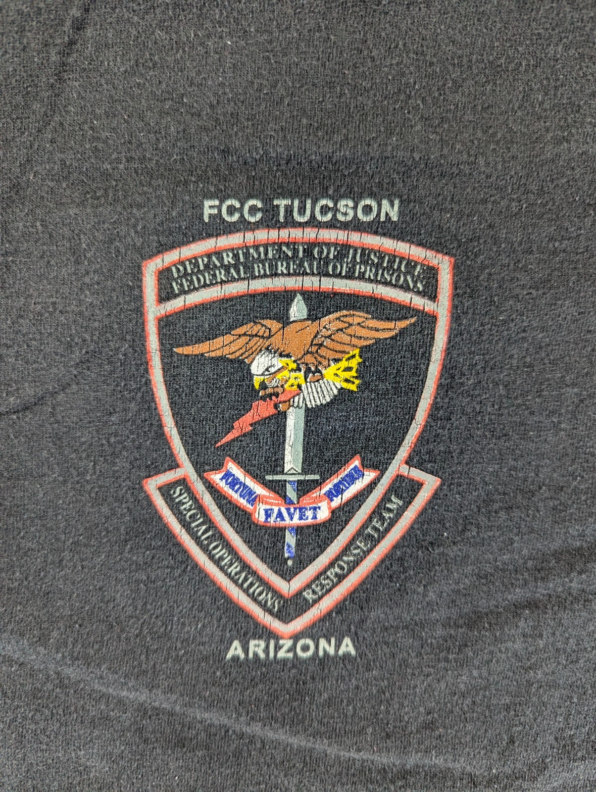 Hanes Tagless T Shirt Mens L Gray FCC Tucson Response Team in Arizona Crewneck