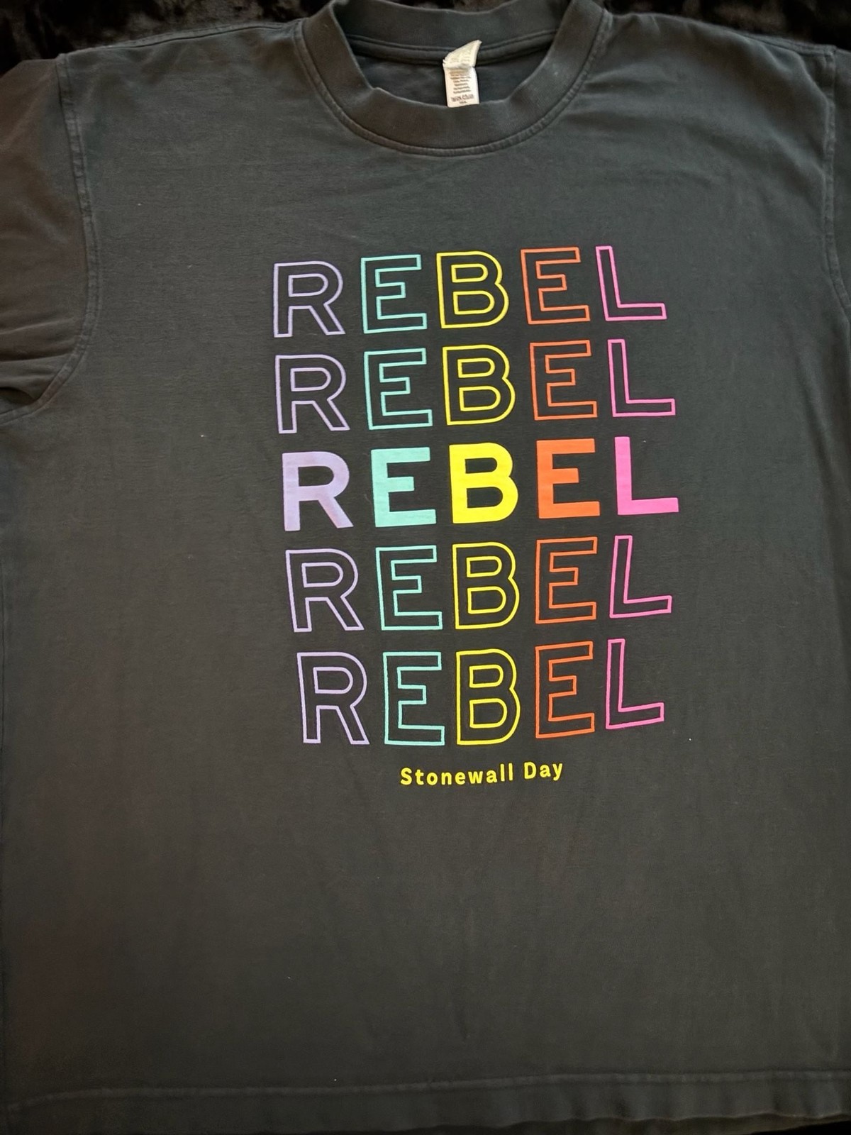 Stonewall Day Rebel Heavyweight T-Shirt