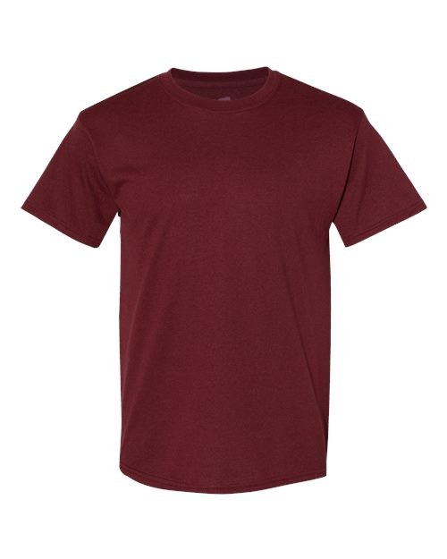 Hanes 5170 Unisex EcoSmart T-Shirt